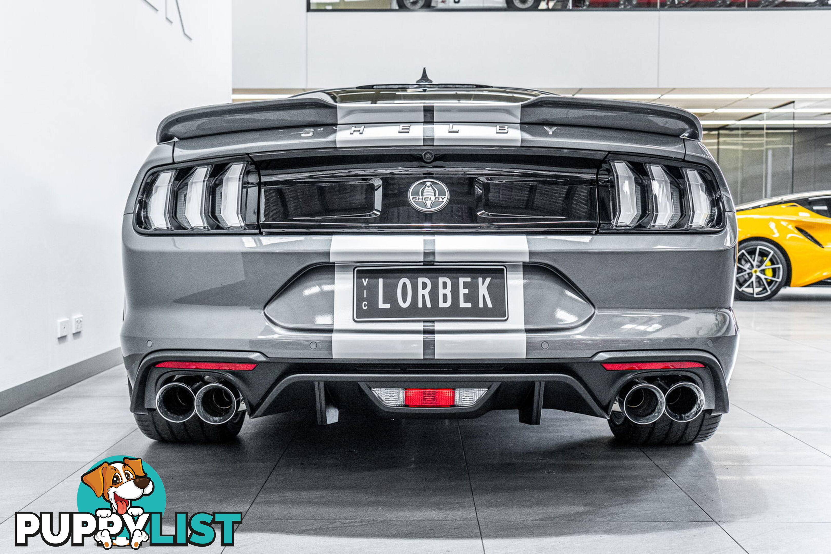 2023 Ford Mustang GT 5.0 V8 FN MY23