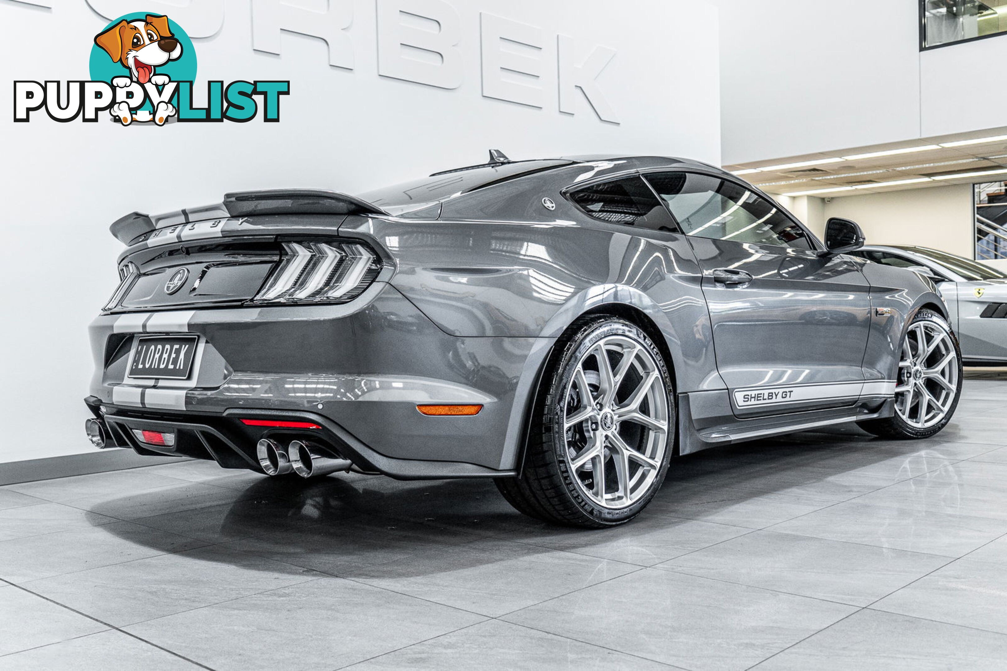 2023 Ford Mustang GT 5.0 V8 FN MY23