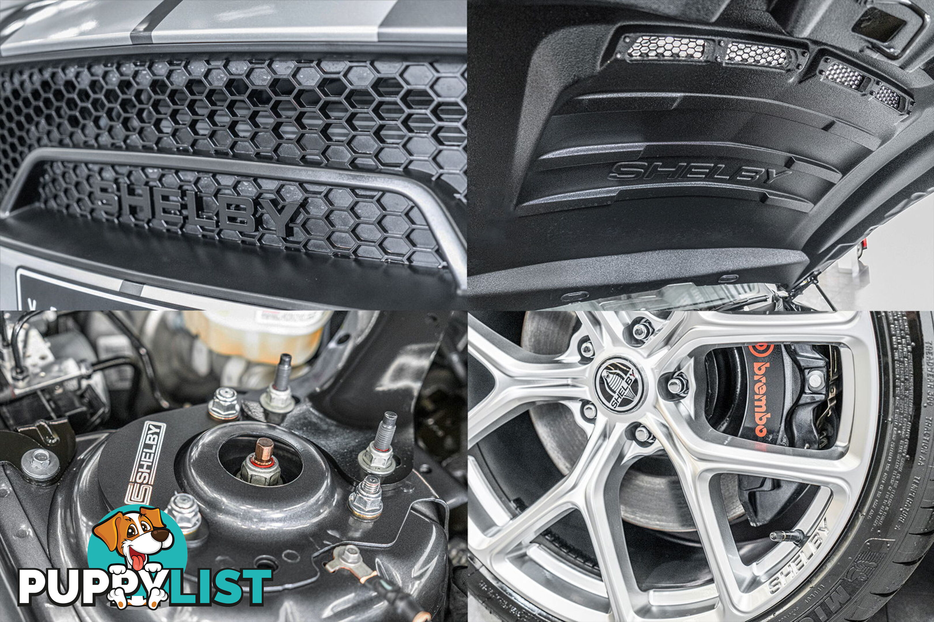 2023 Ford Mustang GT 5.0 V8 FN MY23