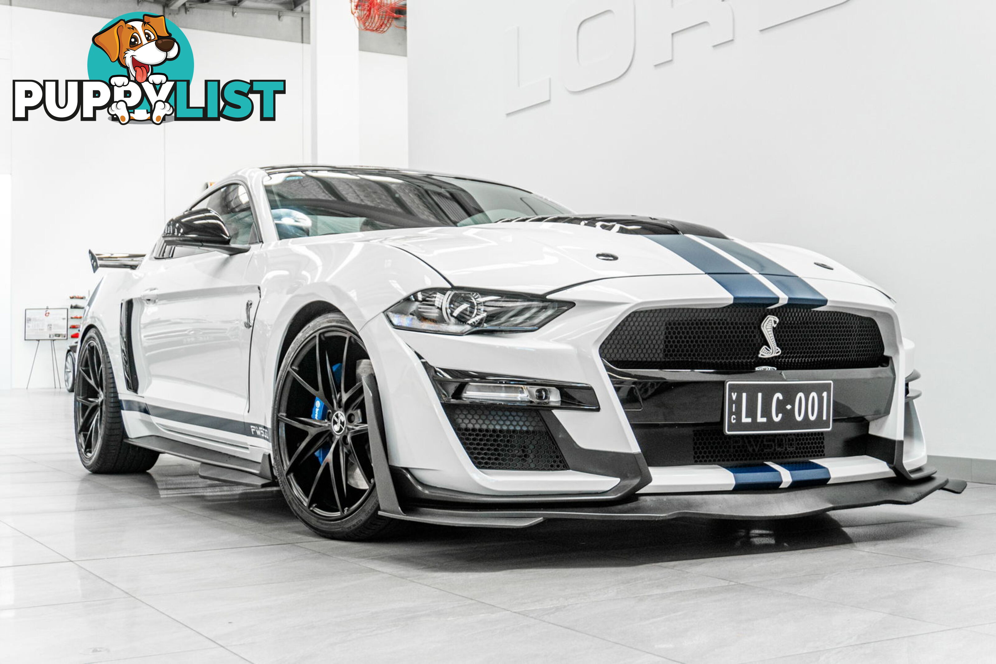 2018 Ford Mustang Fastback GT 5.0 V8 FN