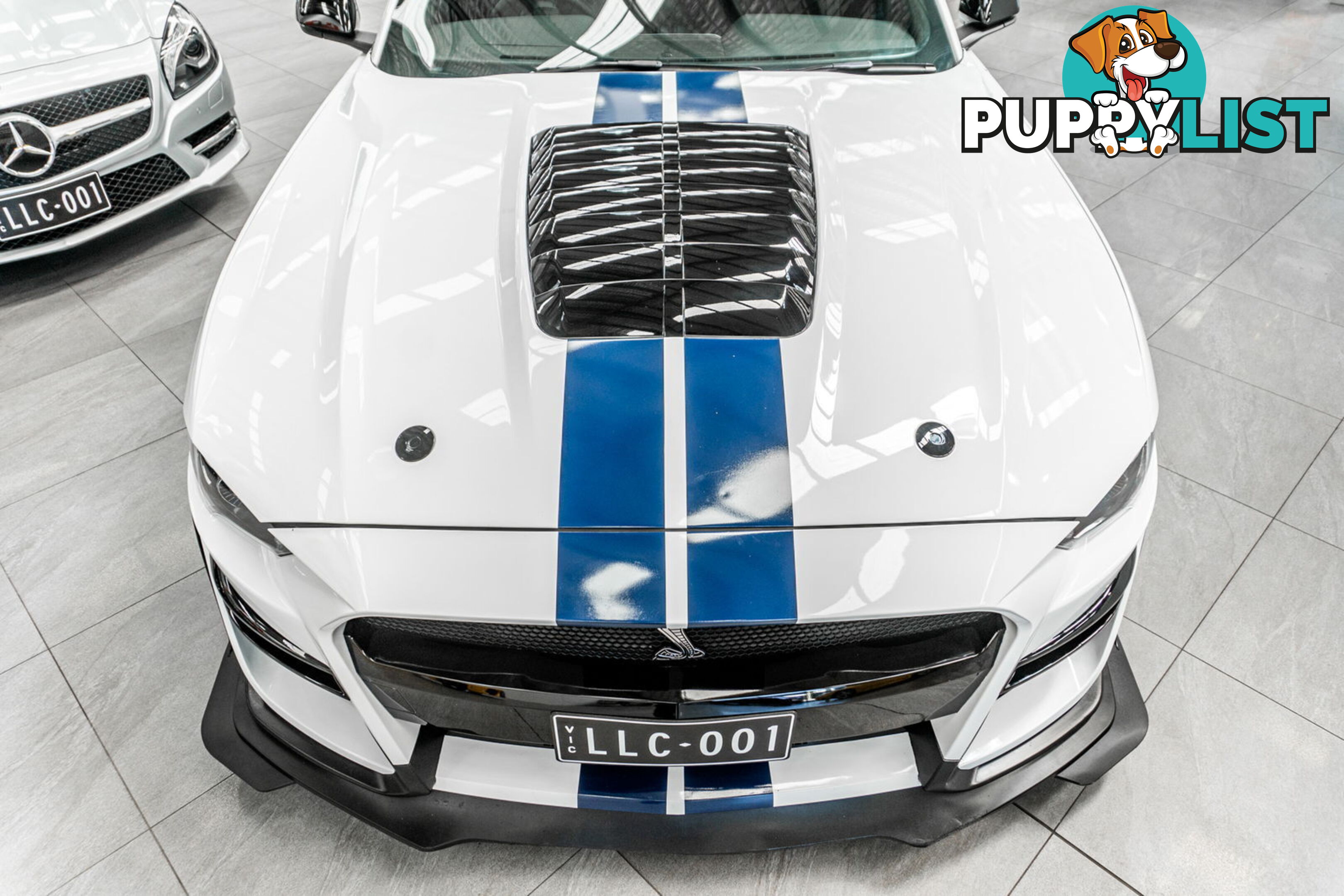 2018 Ford Mustang Fastback GT 5.0 V8 FN