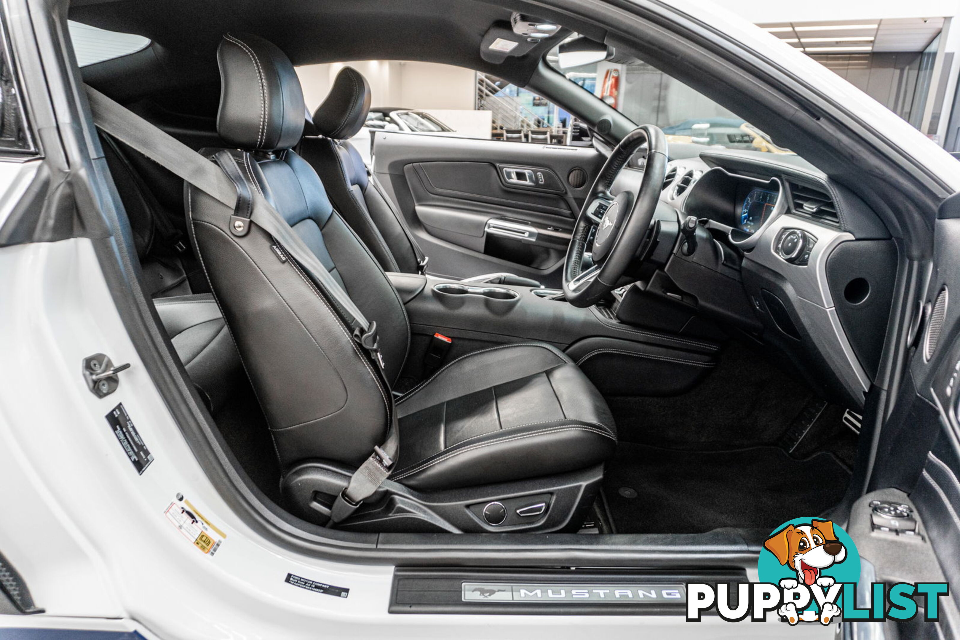 2018 Ford Mustang Fastback GT 5.0 V8 FN