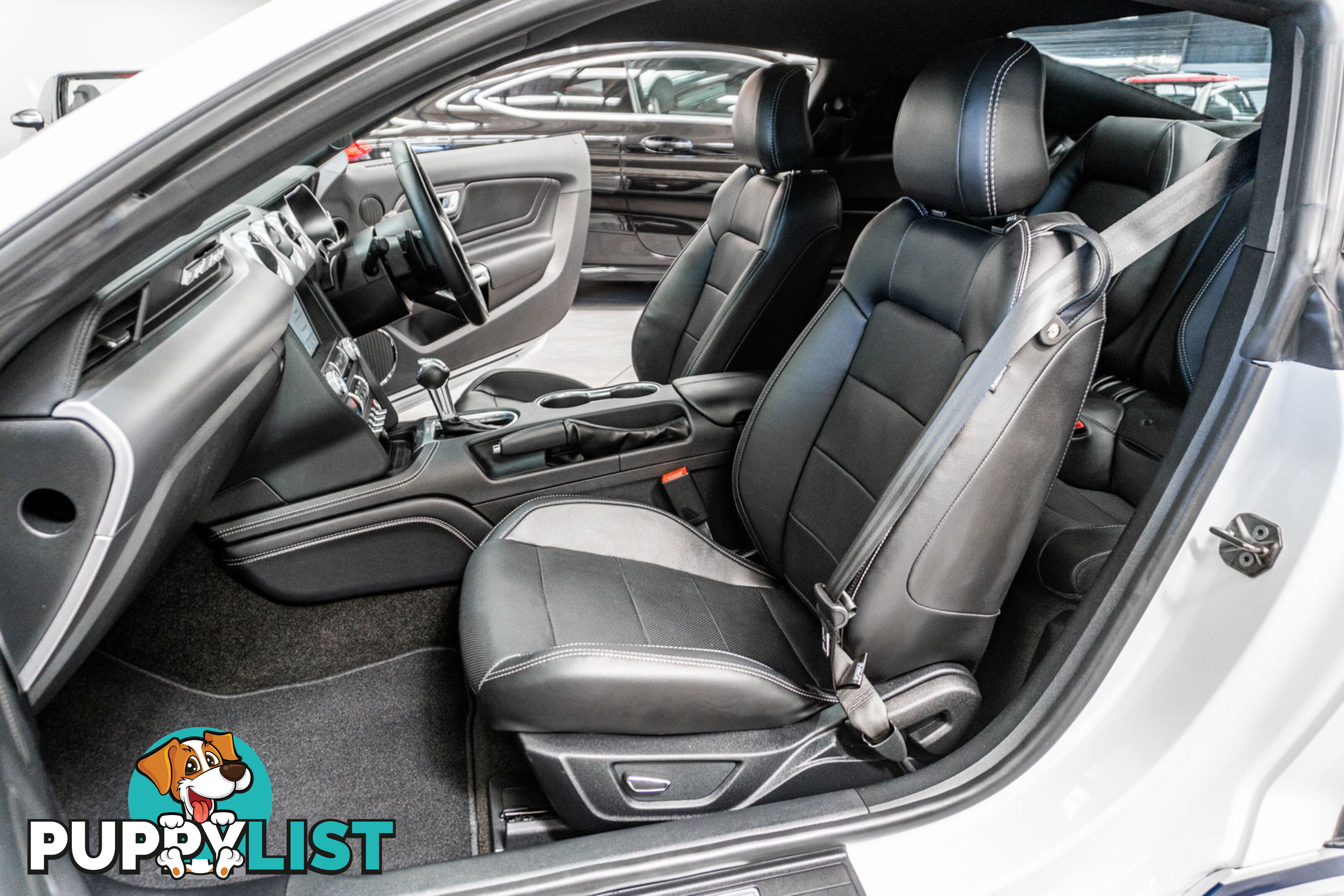 2018 Ford Mustang Fastback GT 5.0 V8 FN