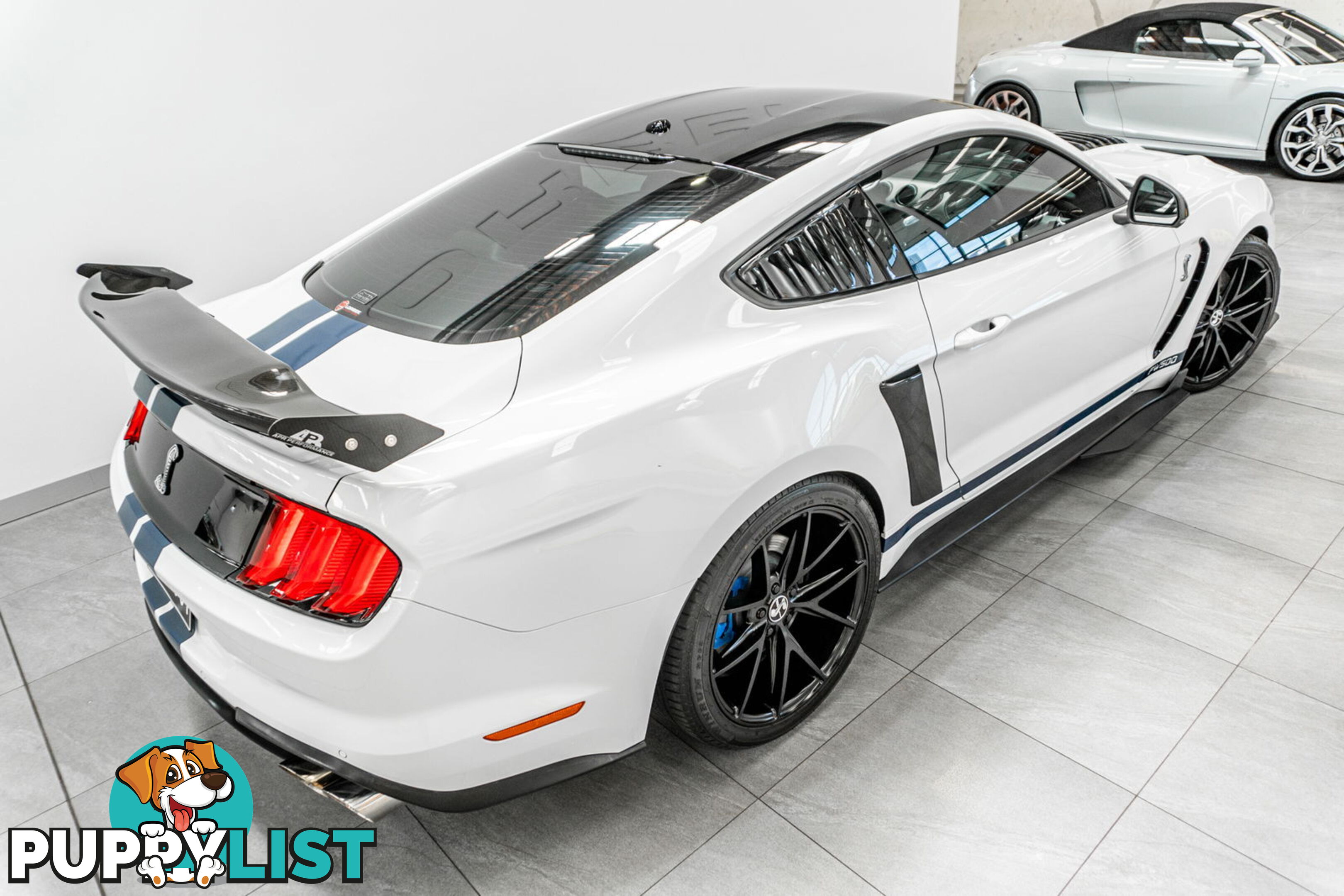 2018 Ford Mustang Fastback GT 5.0 V8 FN