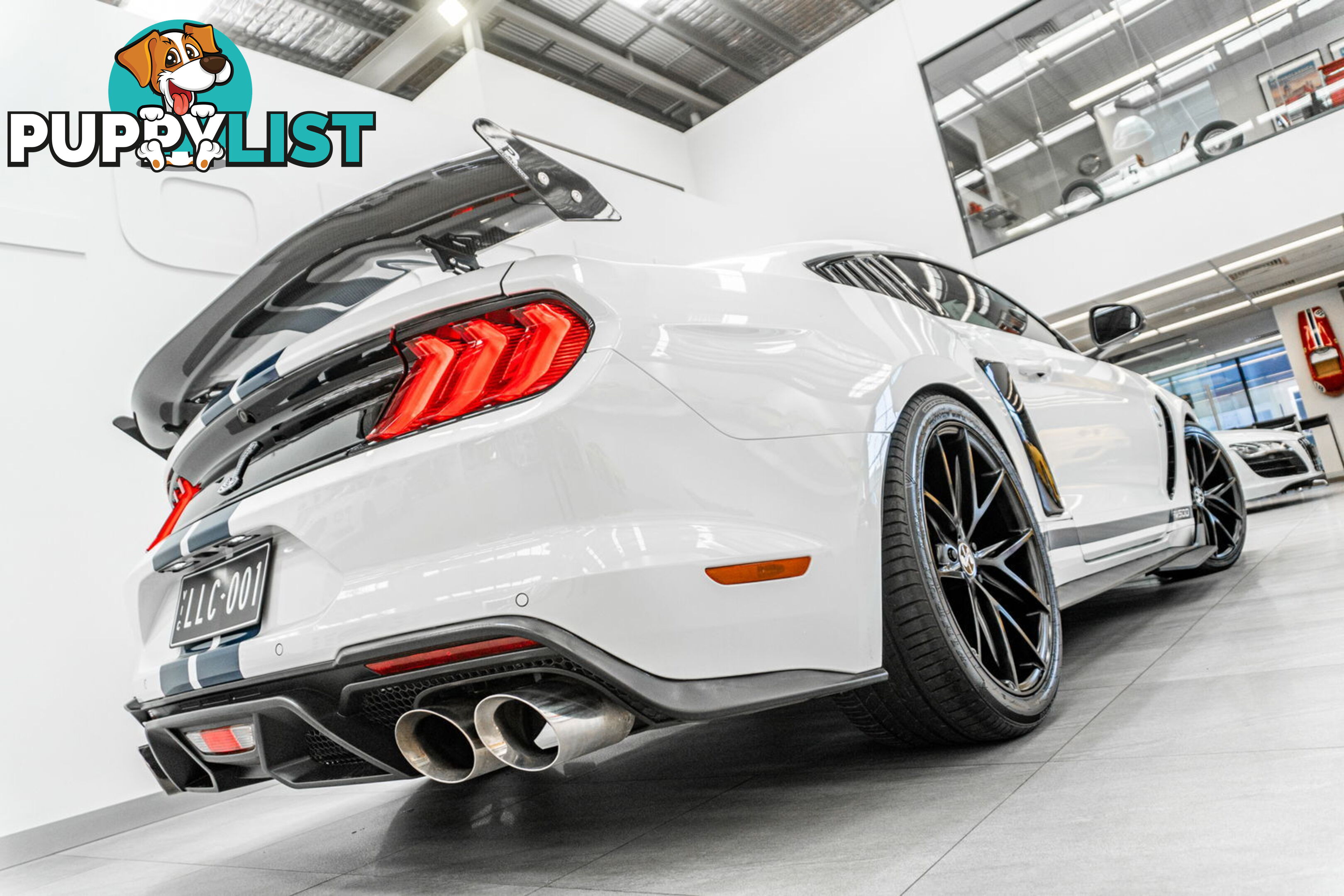 2018 Ford Mustang Fastback GT 5.0 V8 FN