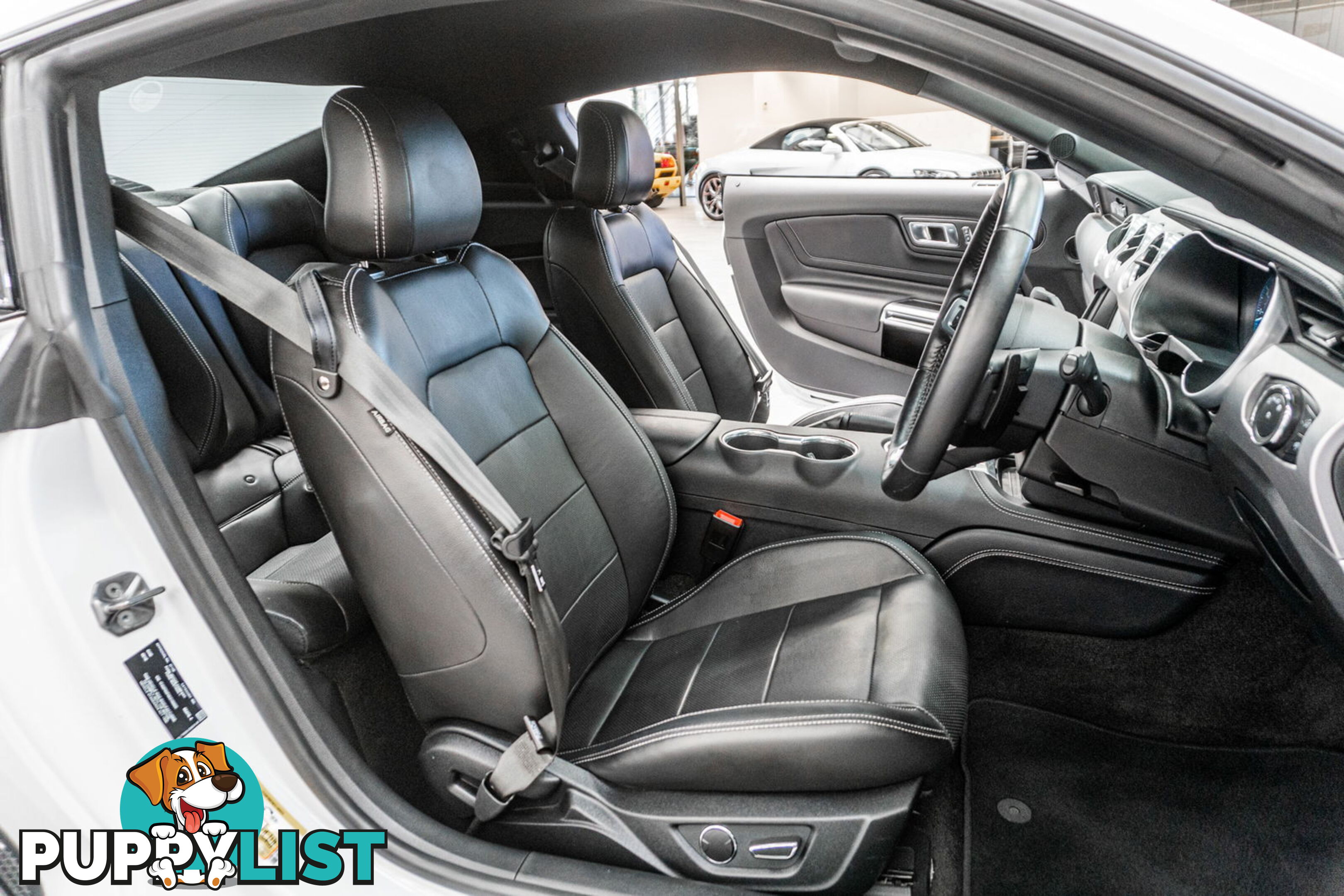 2018 Ford Mustang Fastback GT 5.0 V8 FN