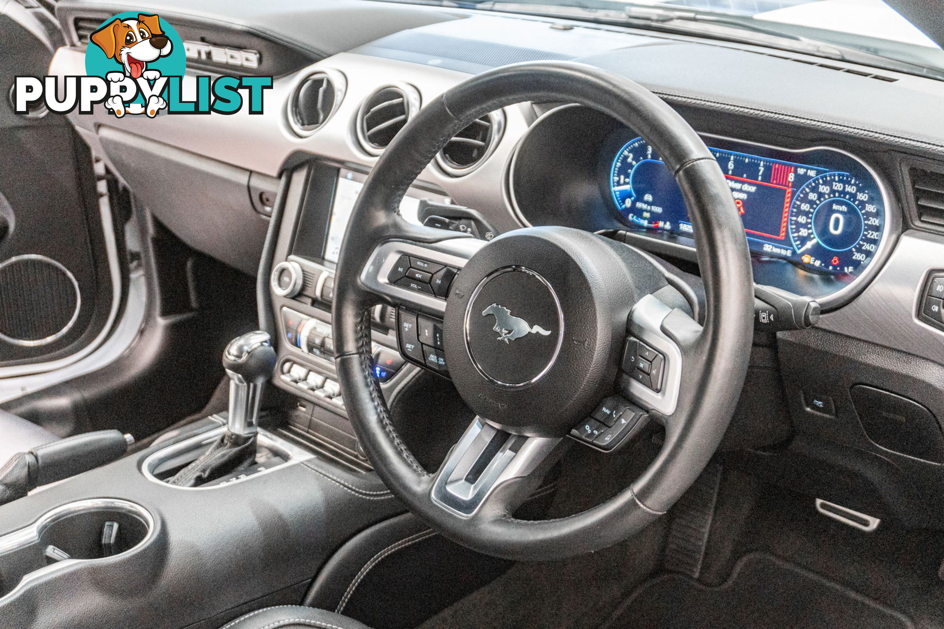 2018 Ford Mustang Fastback GT 5.0 V8 FN