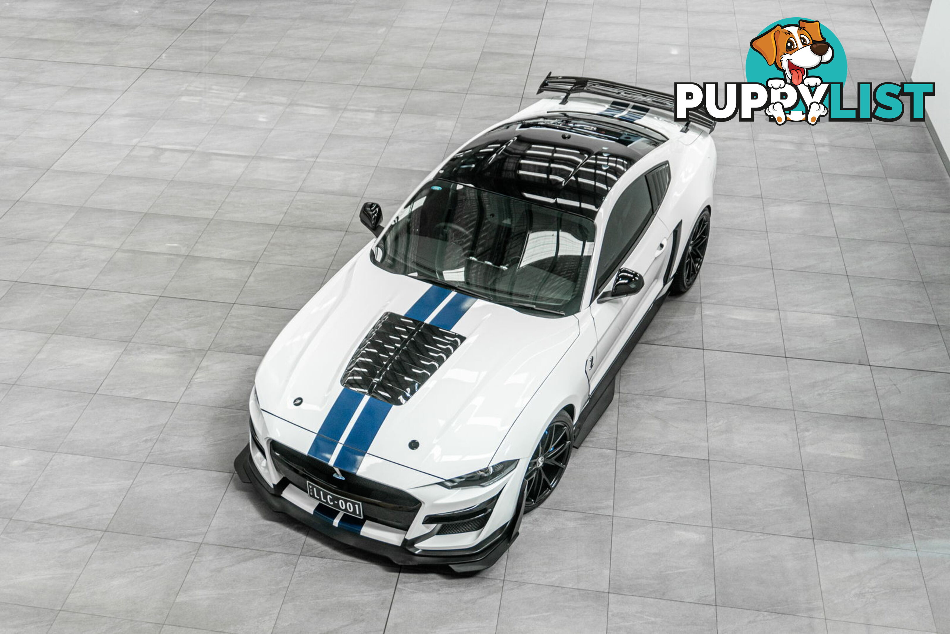 2018 Ford Mustang Fastback GT 5.0 V8 FN