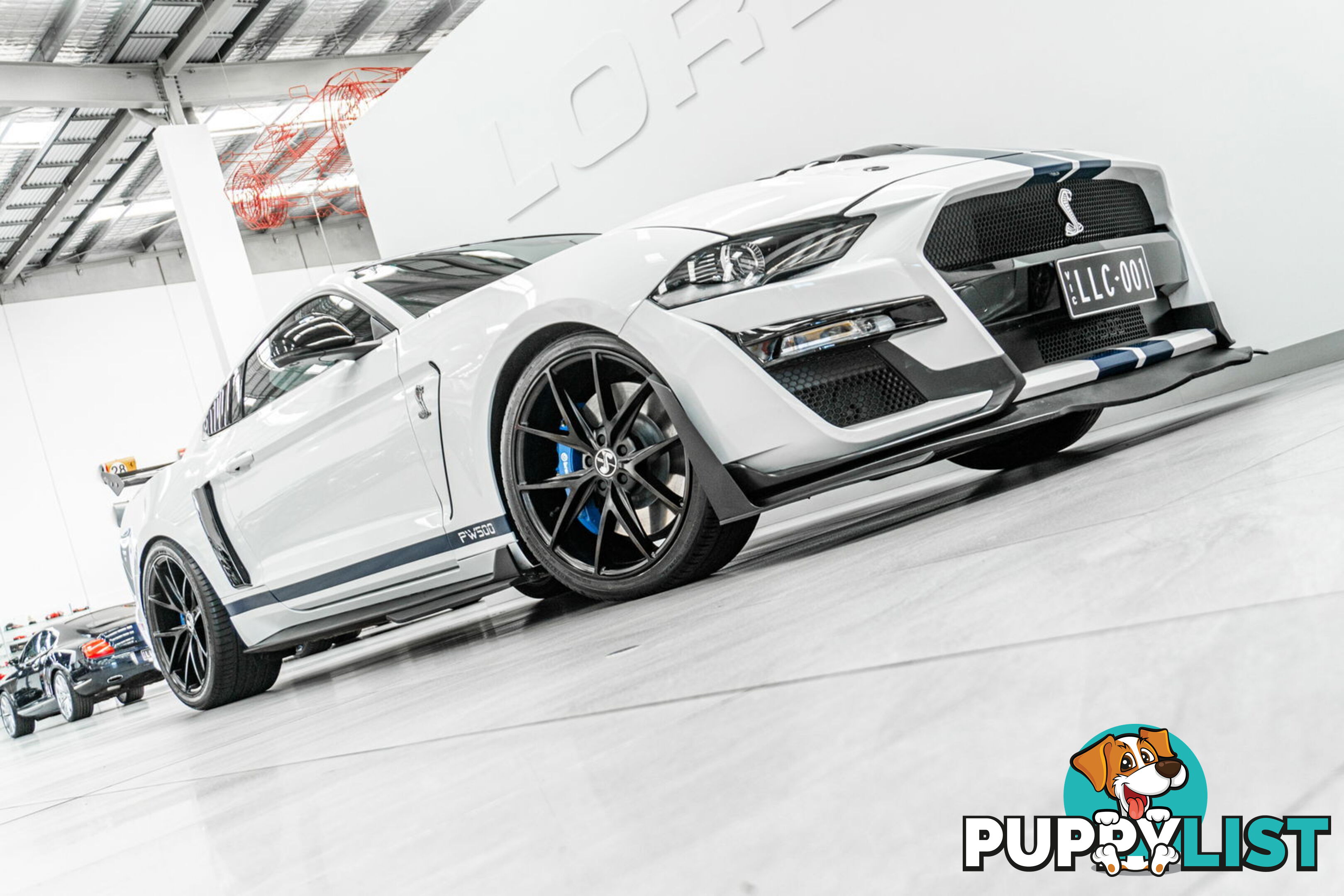2018 Ford Mustang Fastback GT 5.0 V8 FN