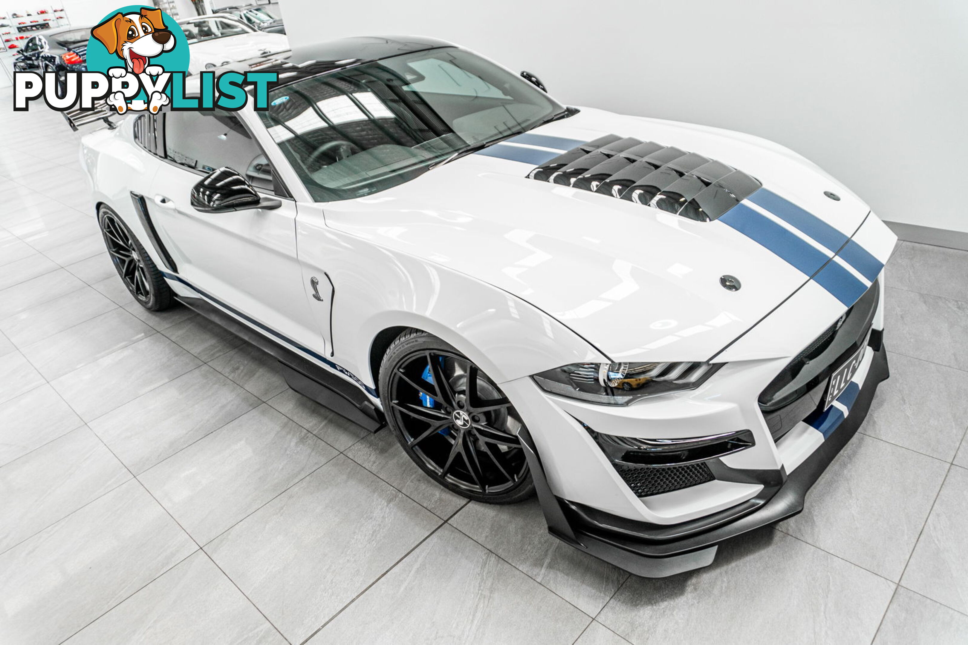 2018 Ford Mustang Fastback GT 5.0 V8 FN