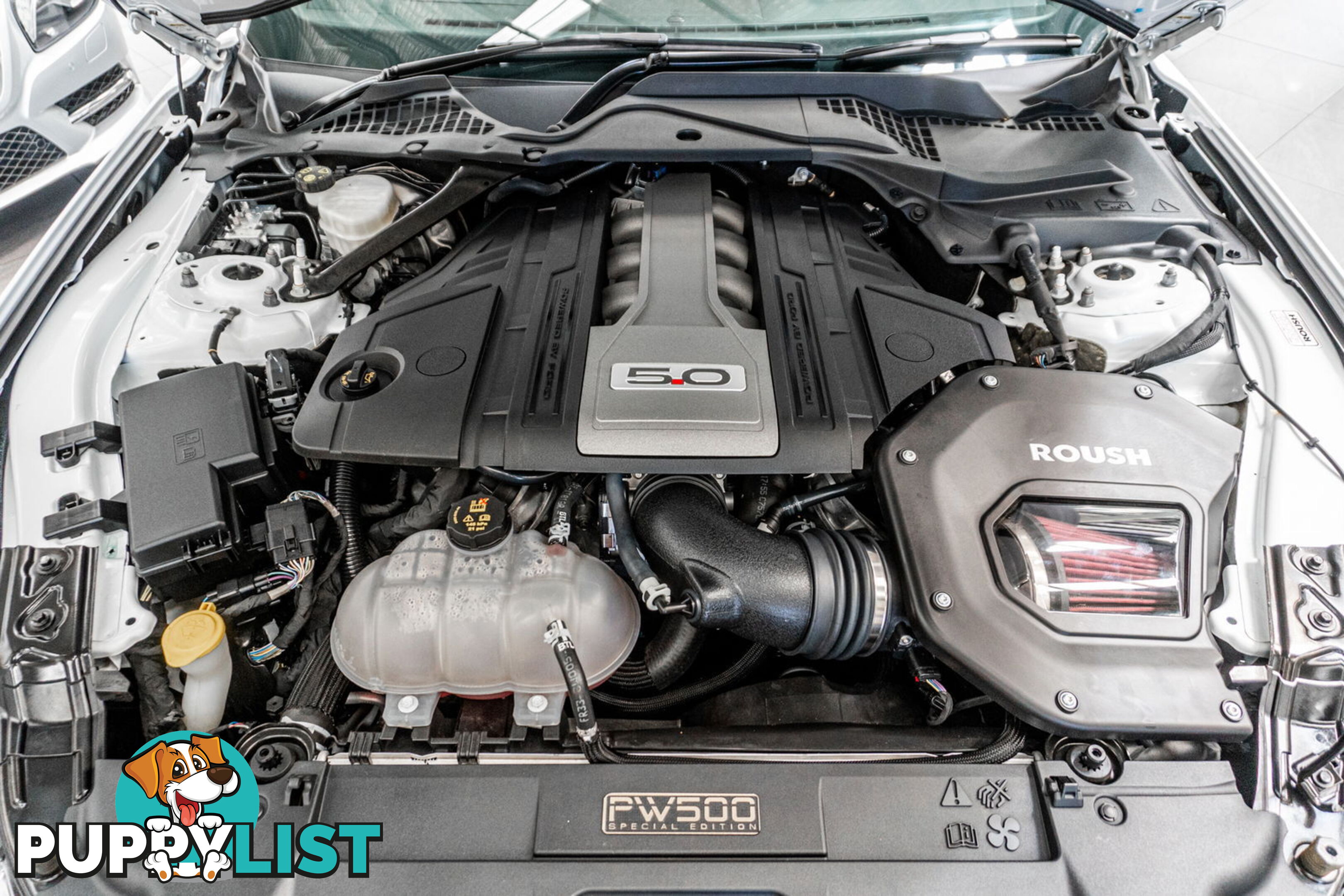 2018 Ford Mustang Fastback GT 5.0 V8 FN