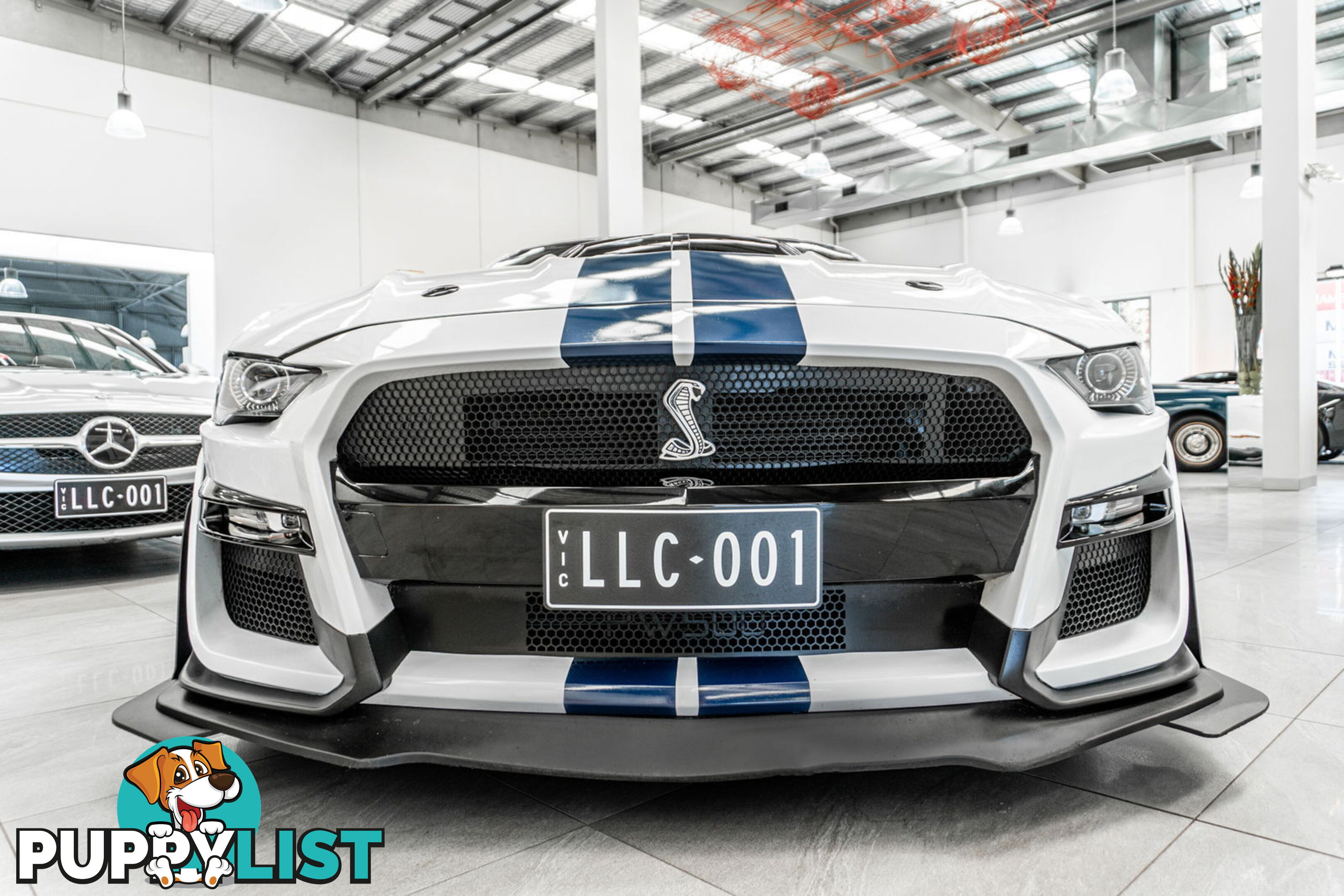 2018 Ford Mustang Fastback GT 5.0 V8 FN