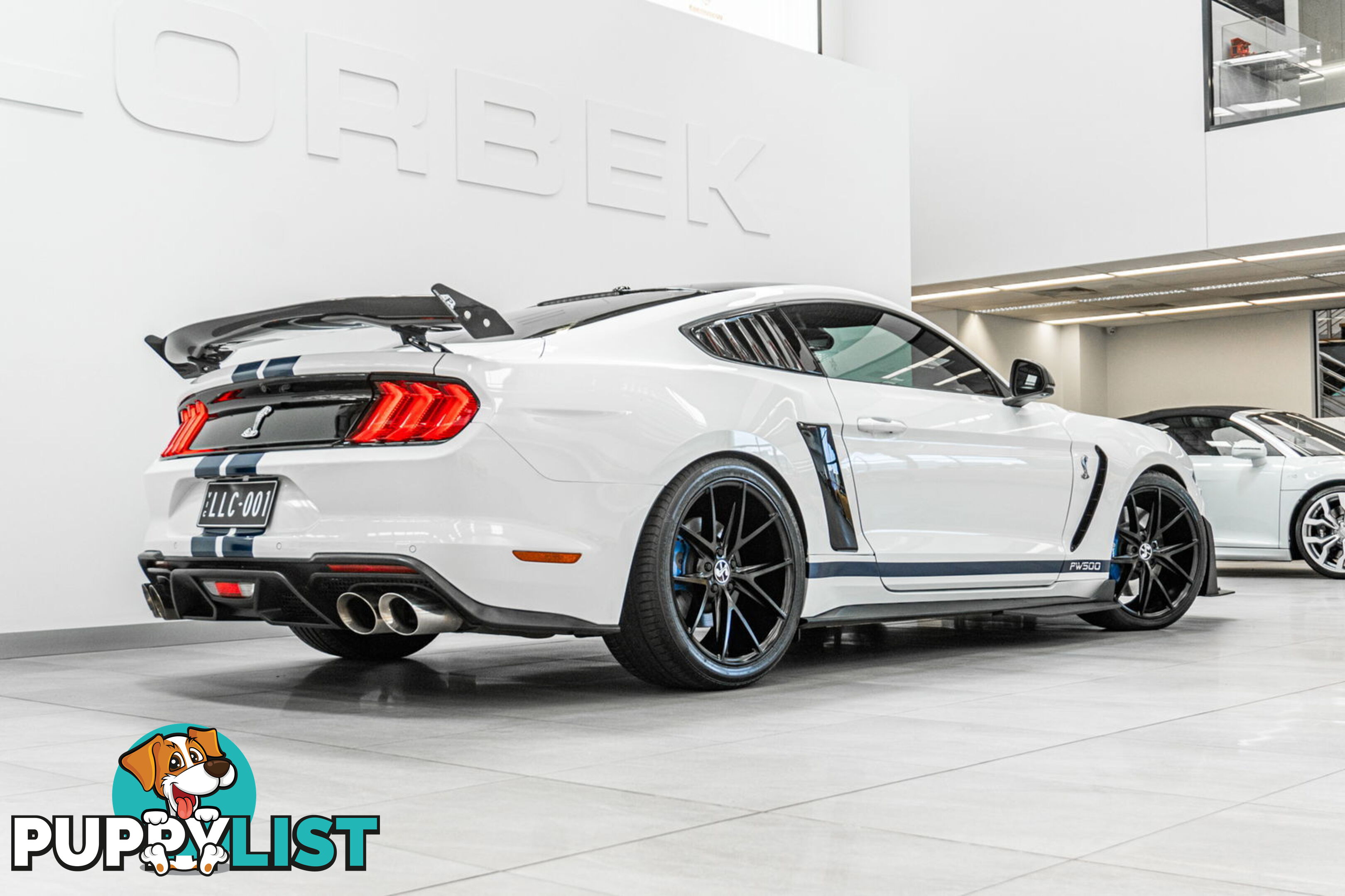 2018 Ford Mustang Fastback GT 5.0 V8 FN