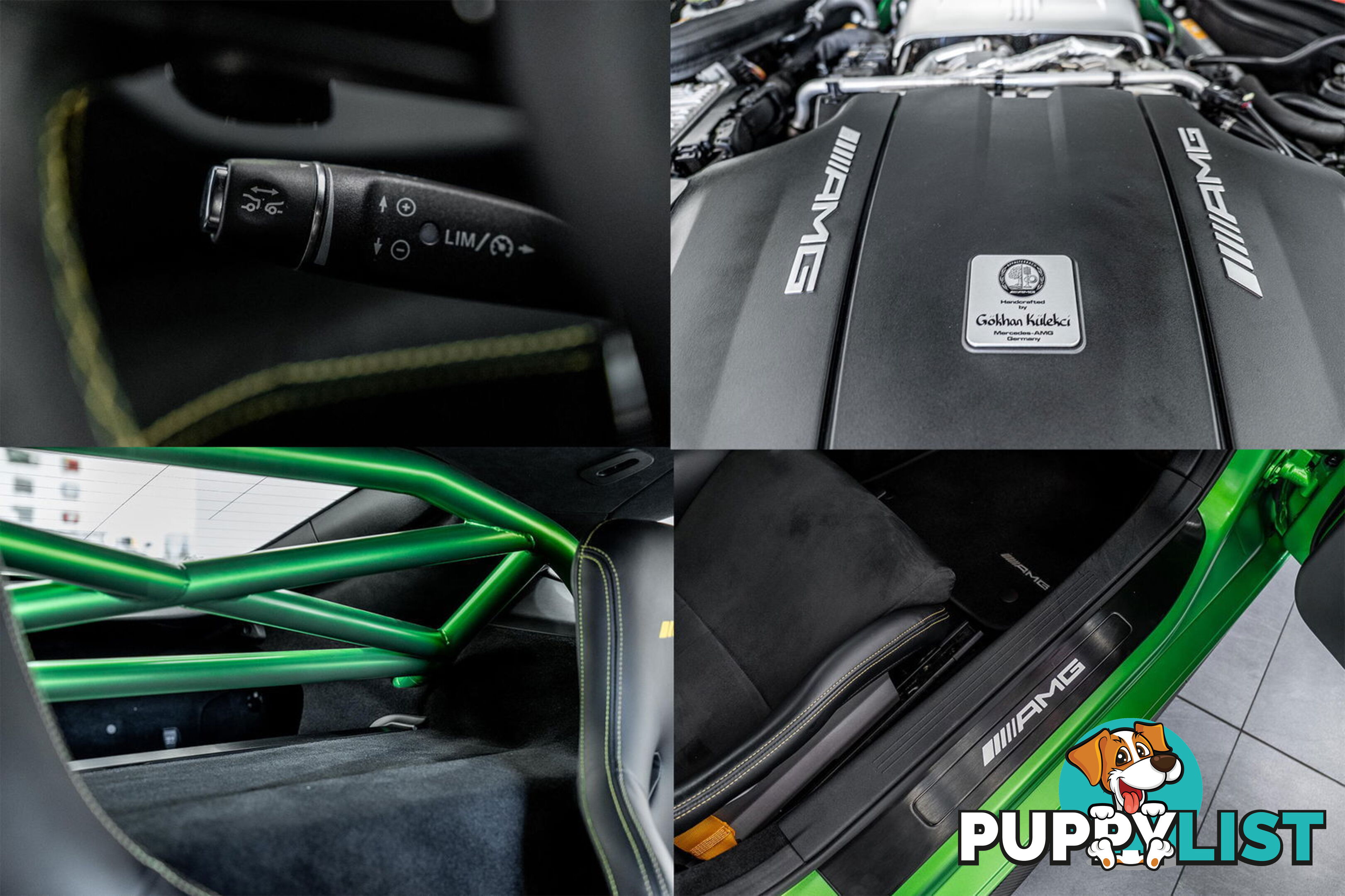 2018 Mercedes-AMG GT R 190 MY17.5