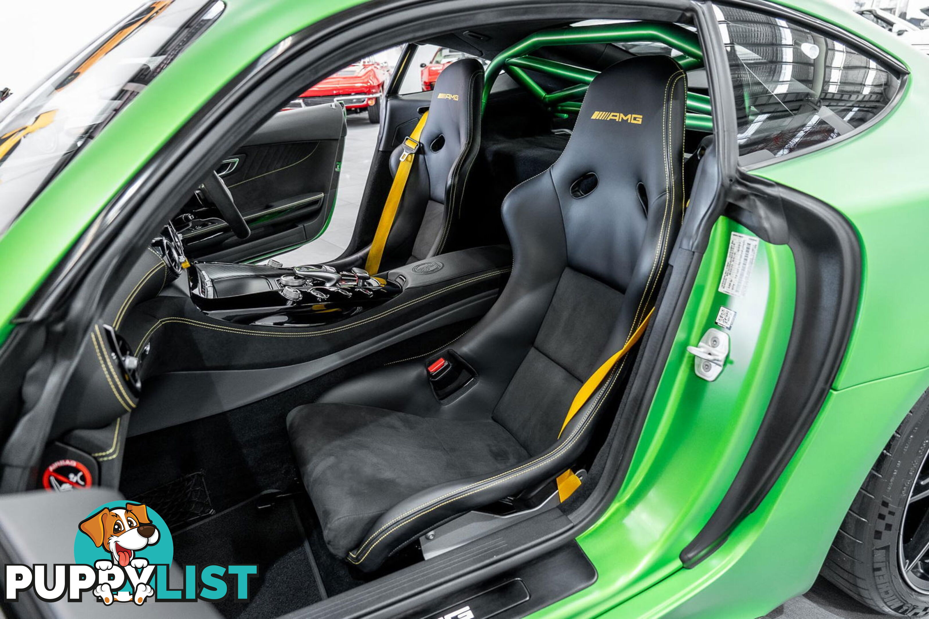 2018 Mercedes-AMG GT R 190 MY17.5