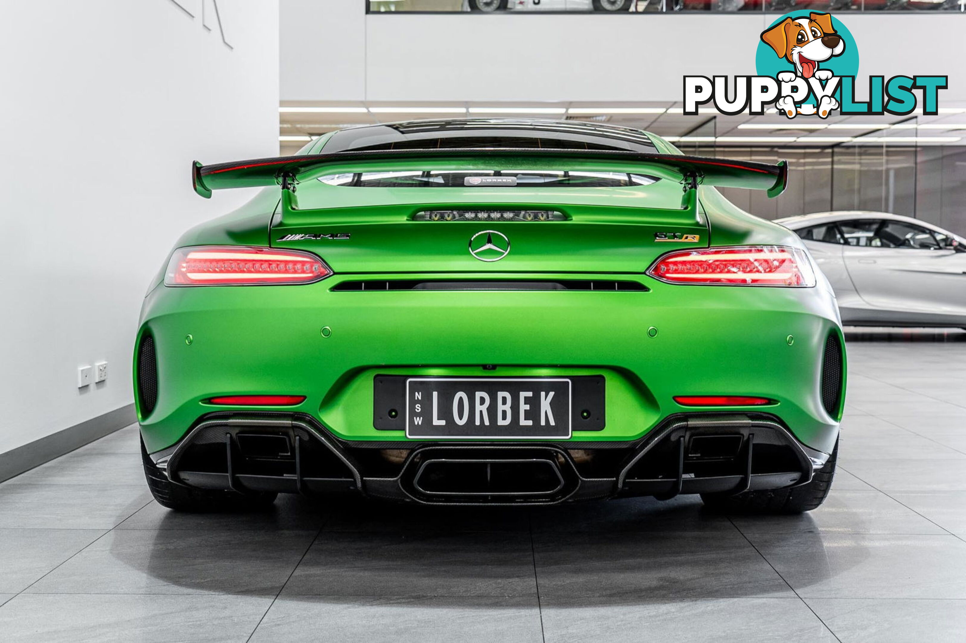 2018 Mercedes-AMG GT R 190 MY17.5
