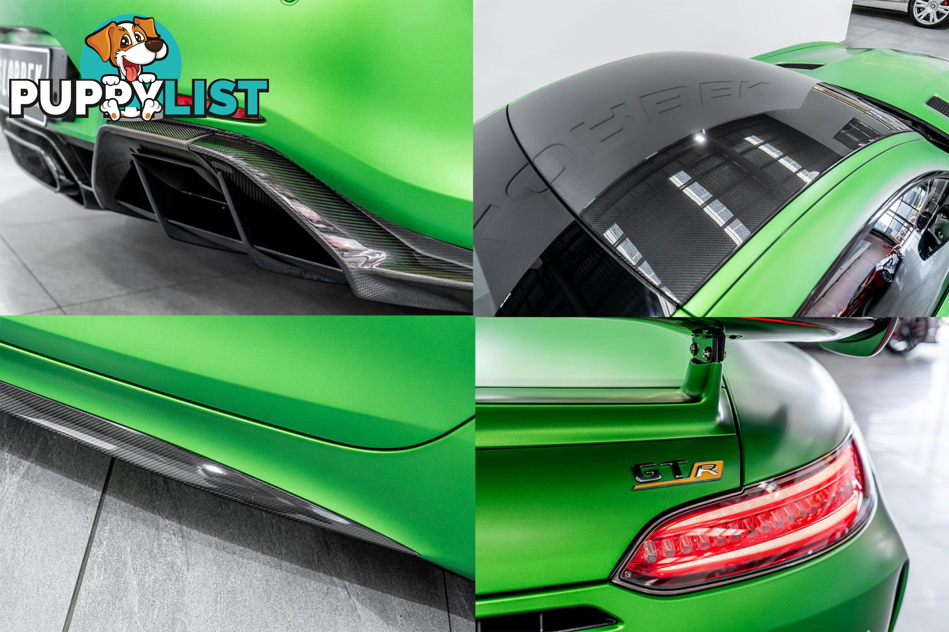2018 Mercedes-AMG GT R 190 MY17.5