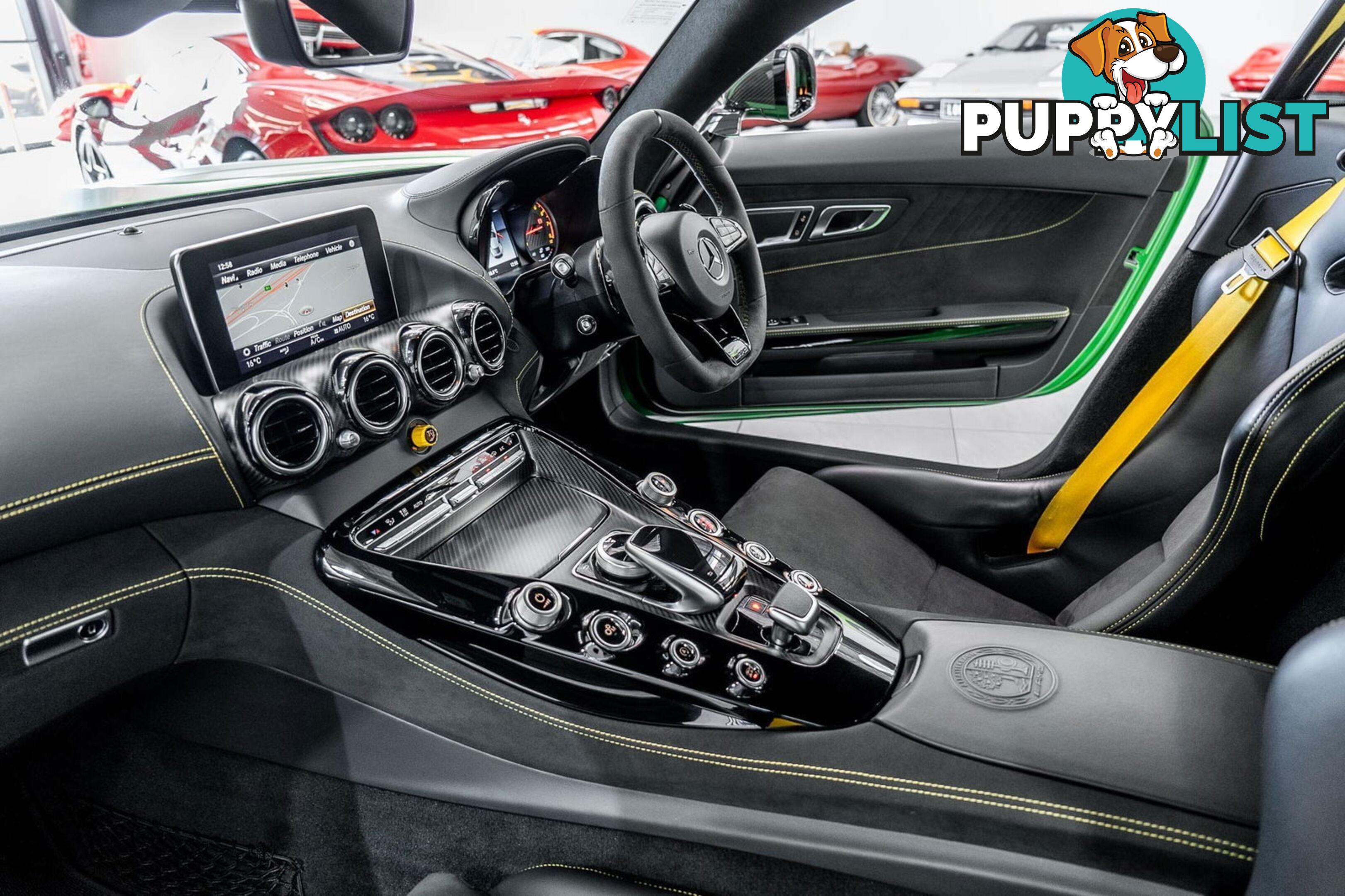 2018 Mercedes-AMG GT R 190 MY17.5