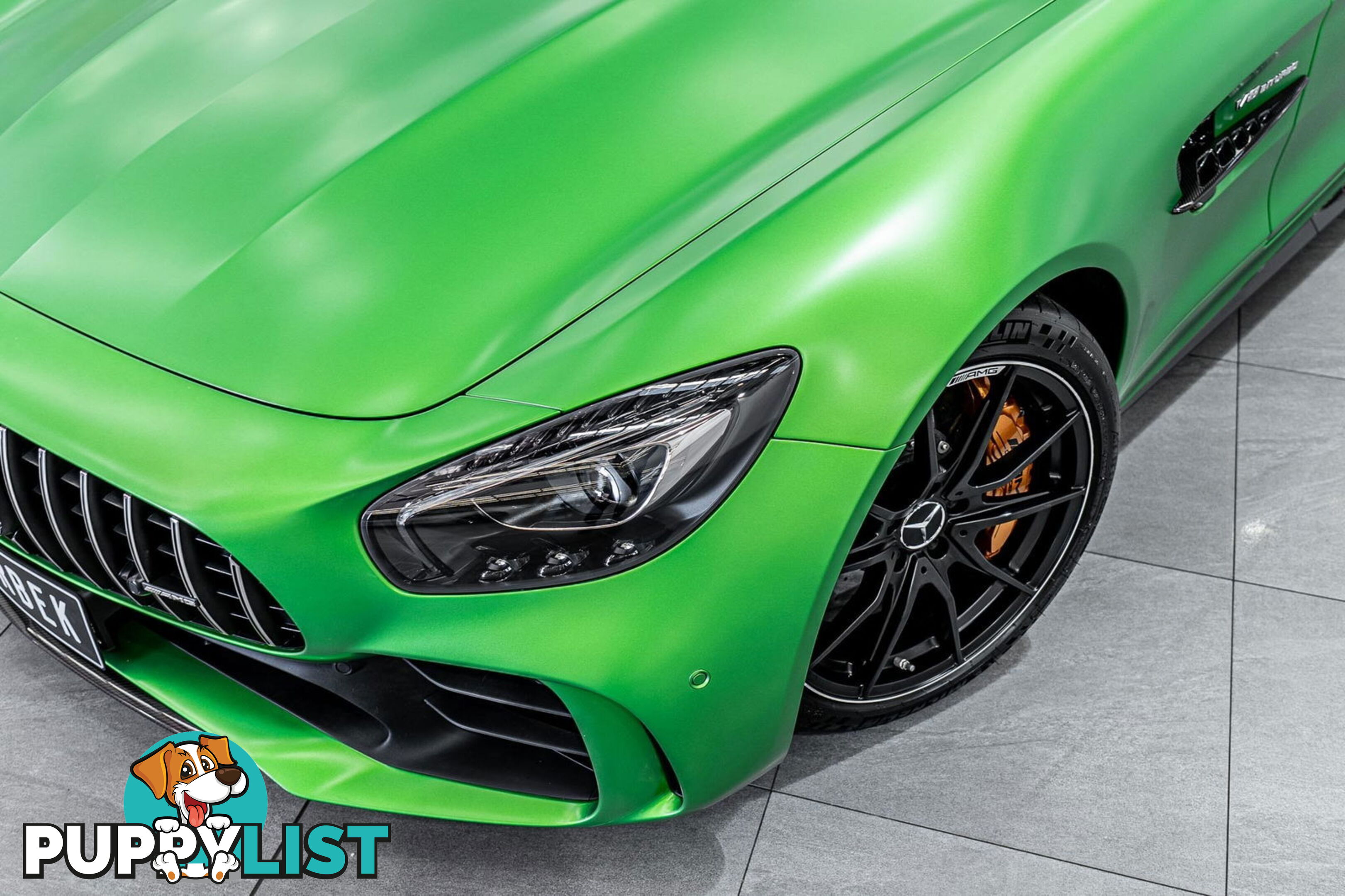 2018 Mercedes-AMG GT R 190 MY17.5