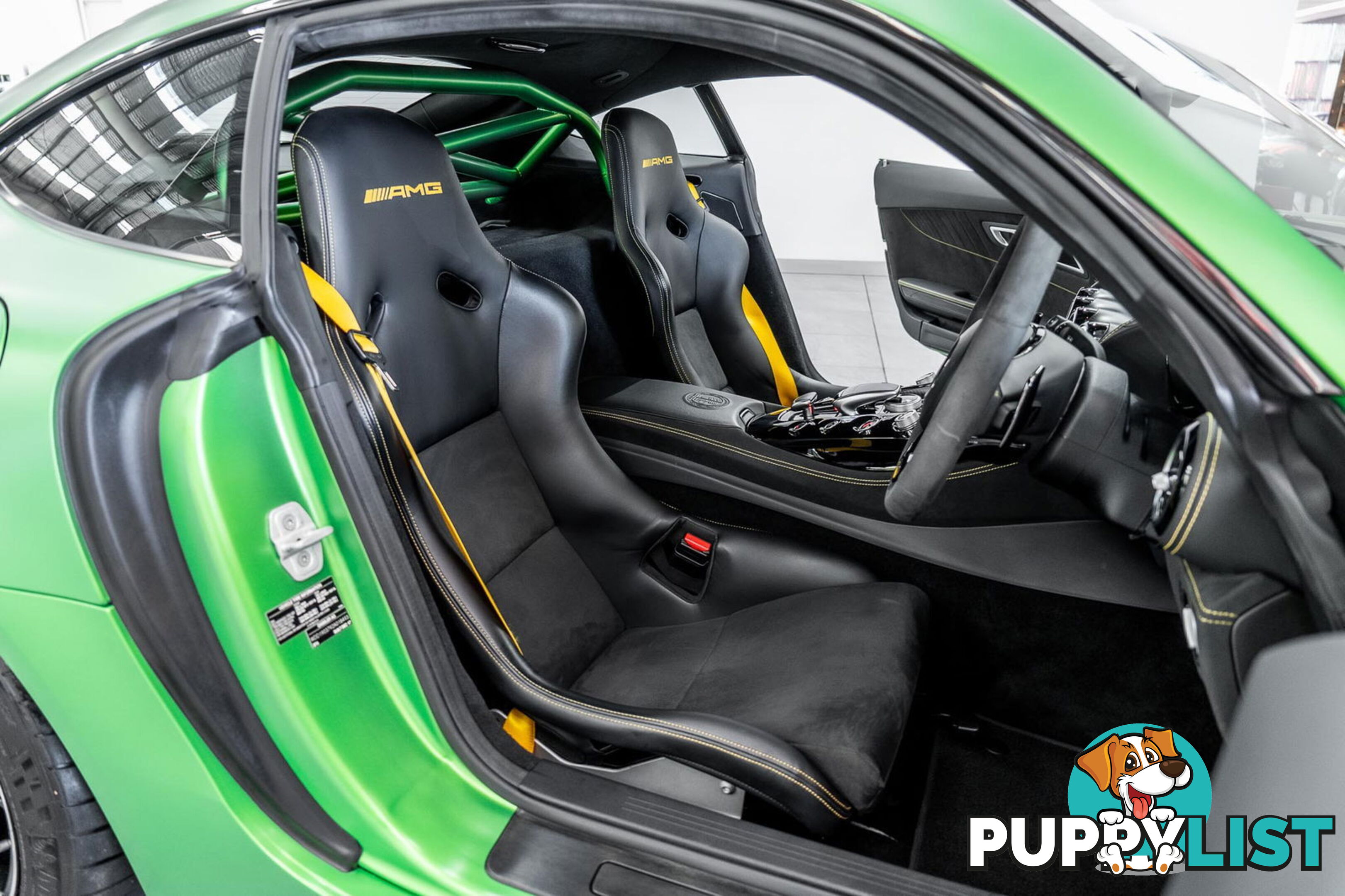 2018 Mercedes-AMG GT R 190 MY17.5