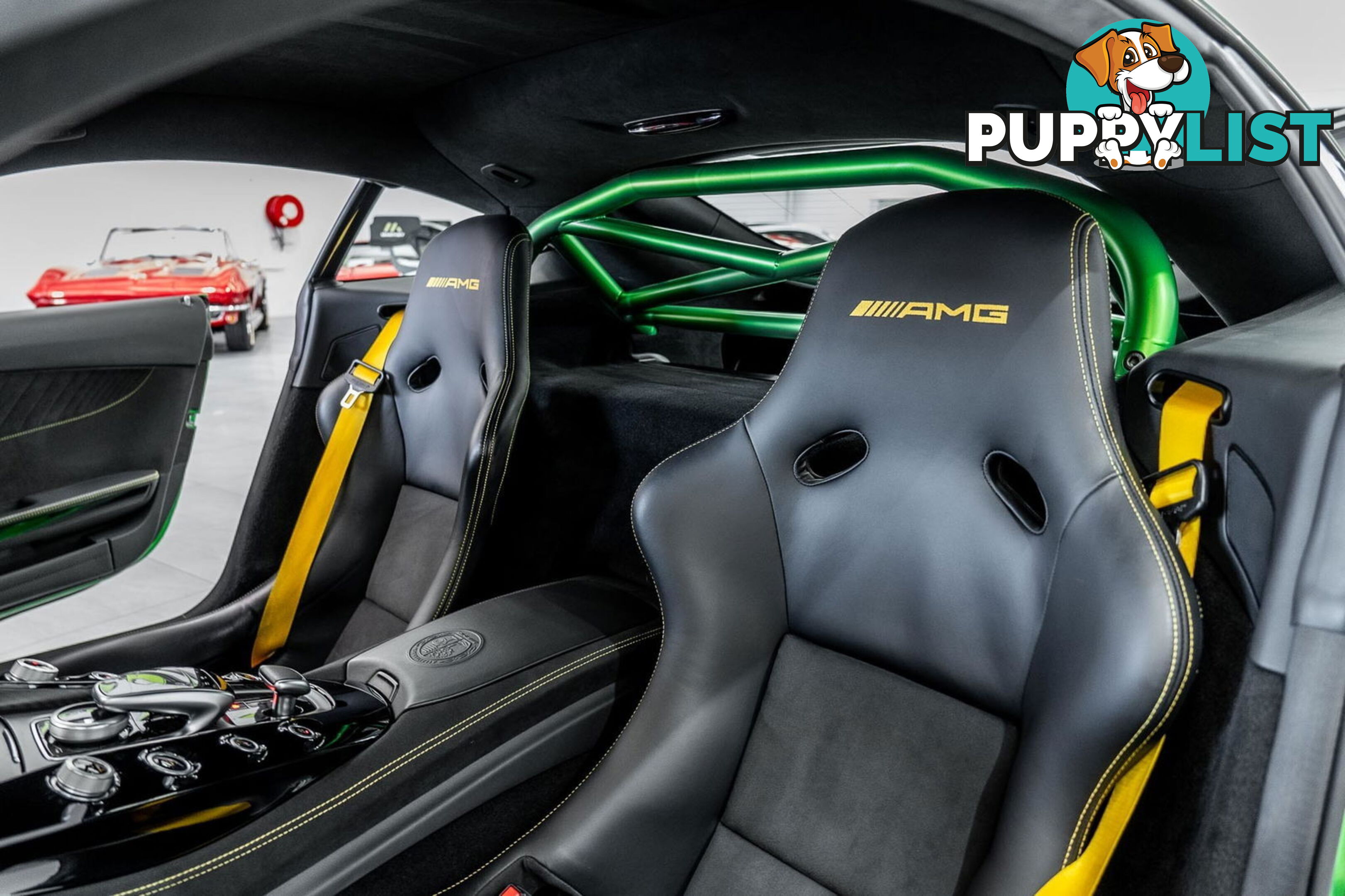 2018 Mercedes-AMG GT R 190 MY17.5