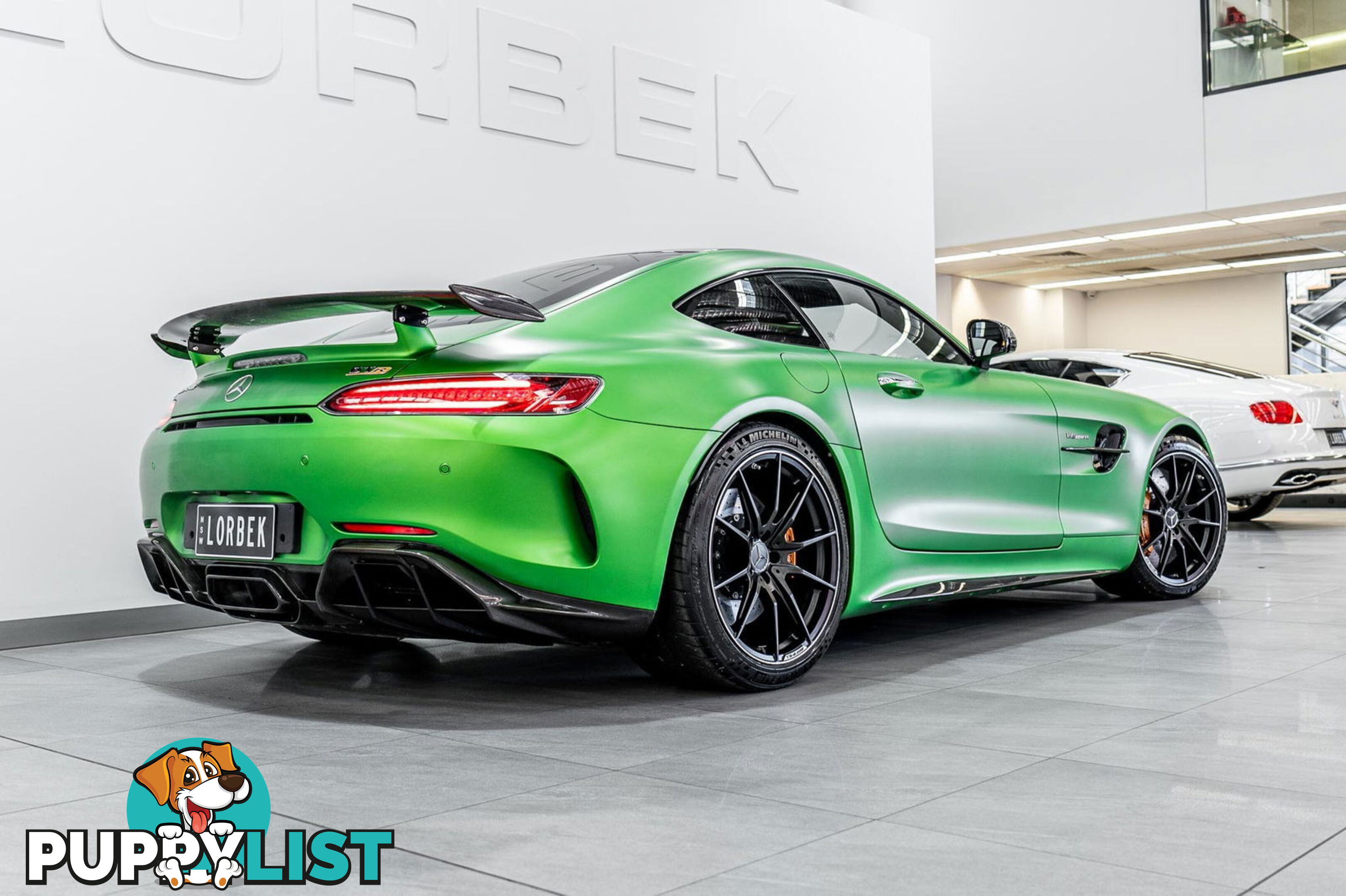 2018 Mercedes-AMG GT R 190 MY17.5