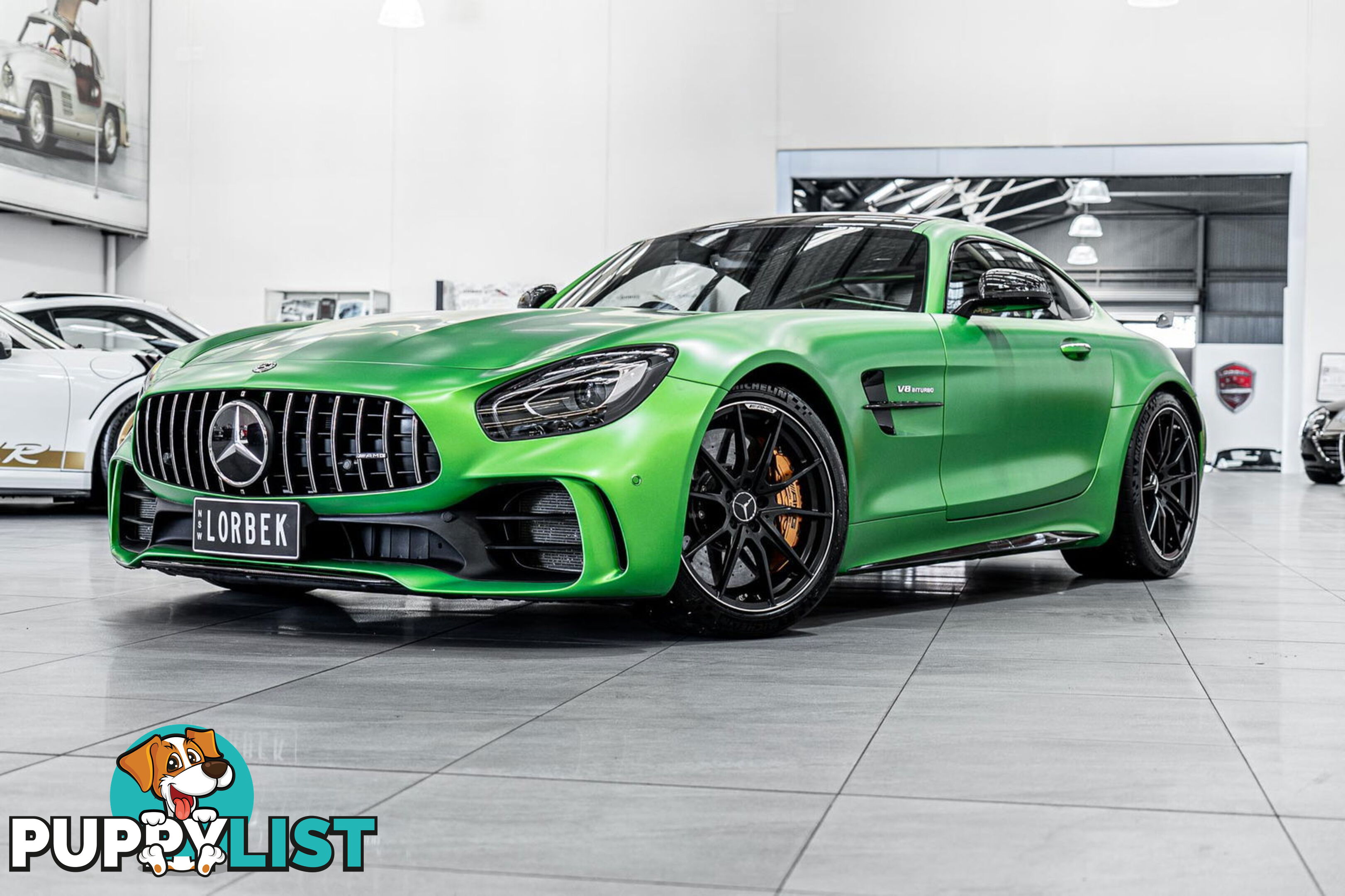 2018 Mercedes-AMG GT R 190 MY17.5