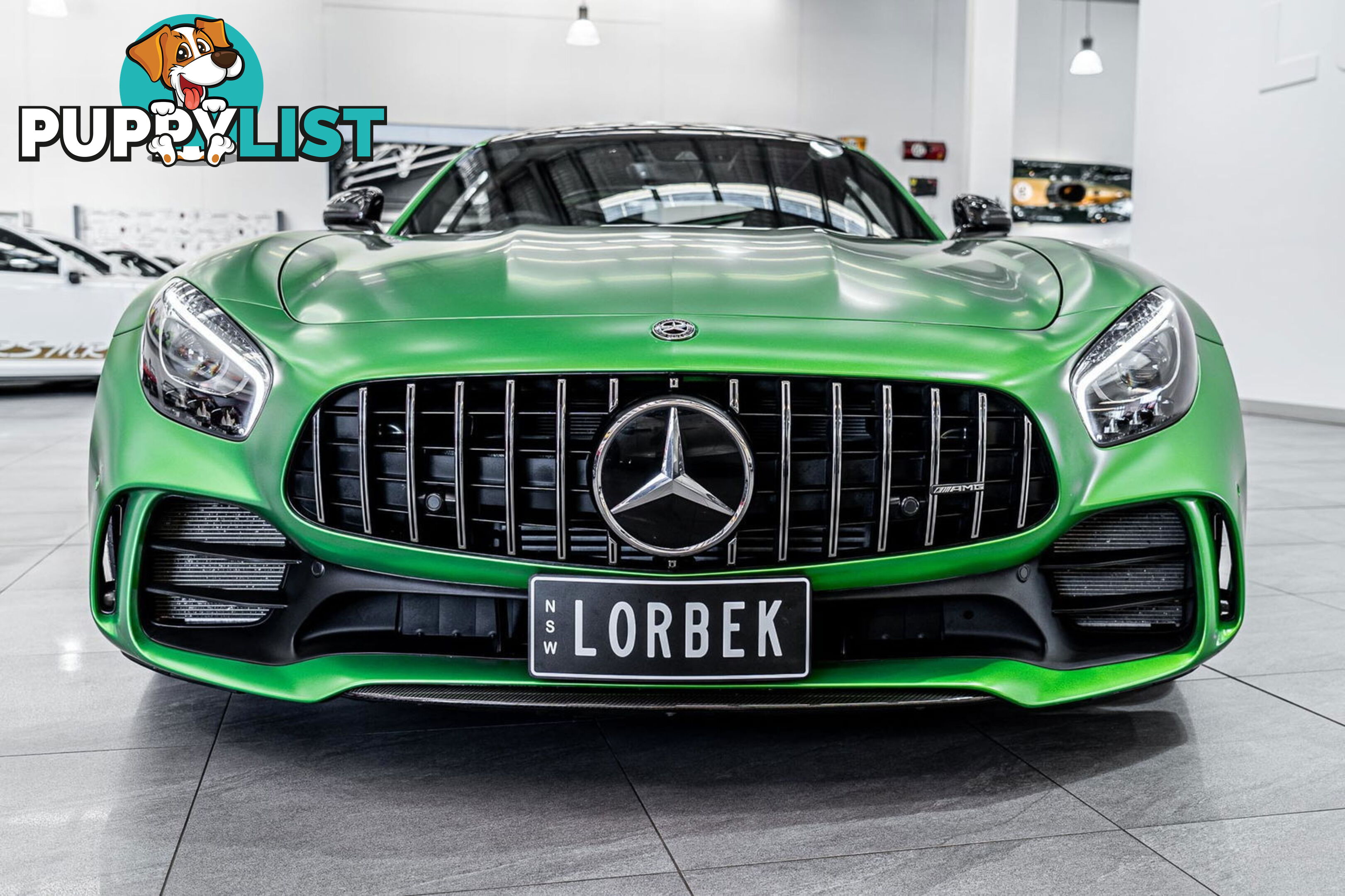 2018 Mercedes-AMG GT R 190 MY17.5