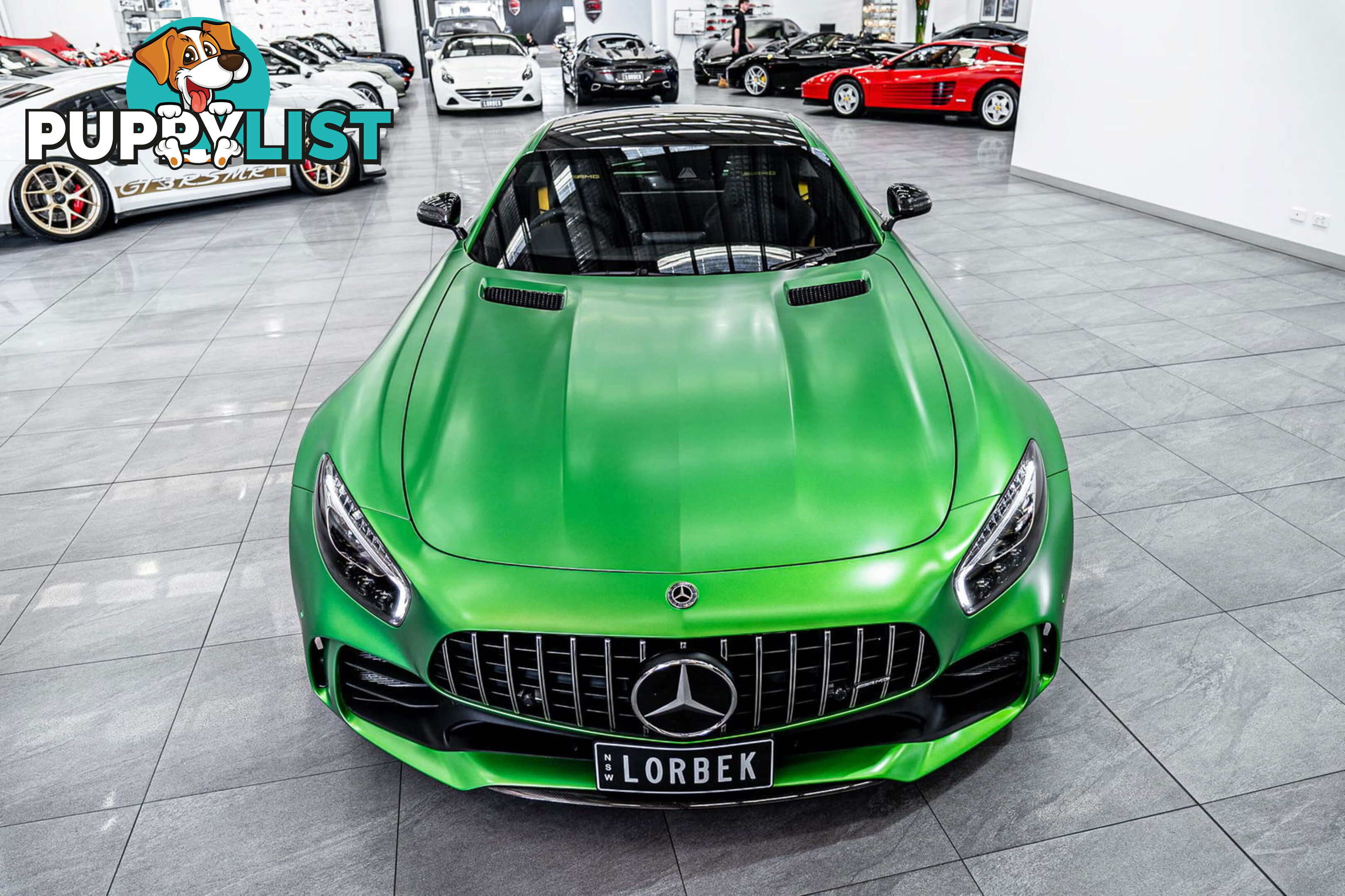 2018 Mercedes-AMG GT R 190 MY17.5