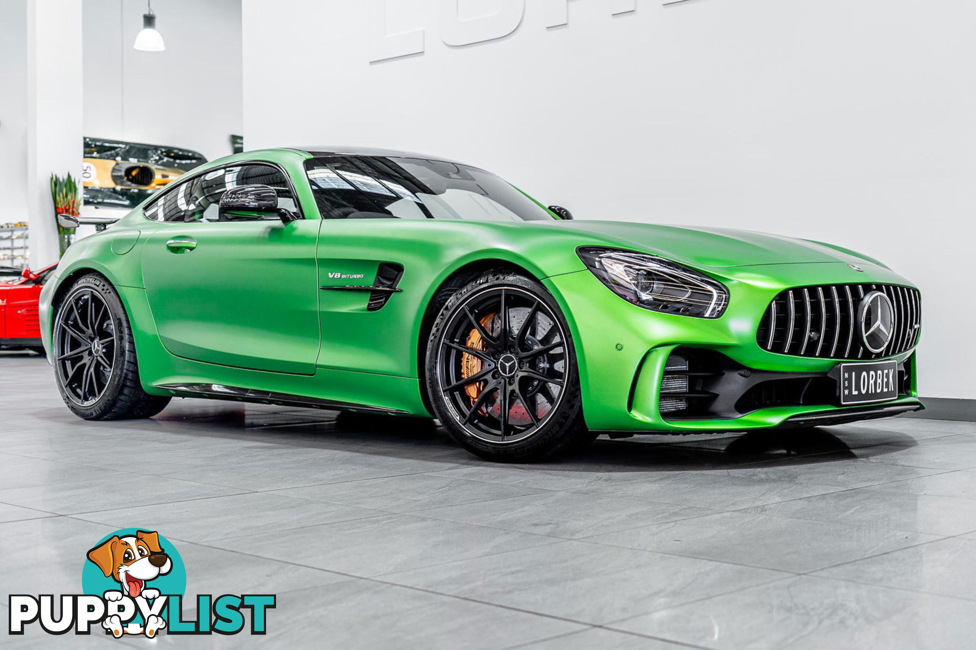 2018 Mercedes-AMG GT R 190 MY17.5