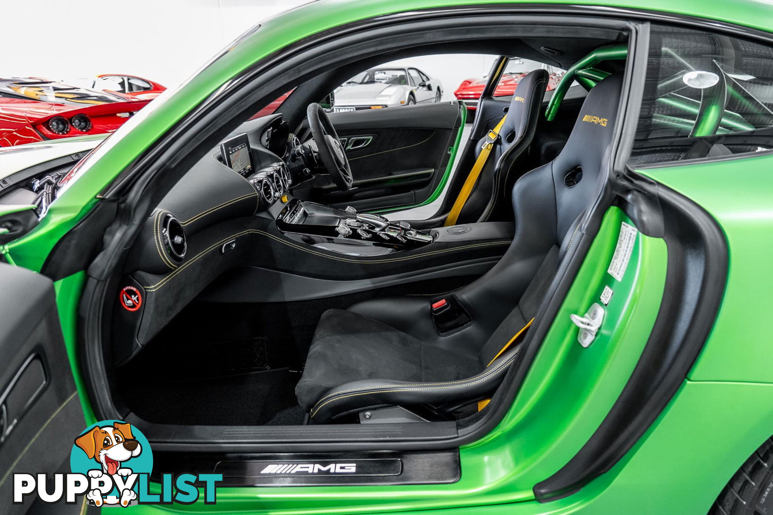 2018 Mercedes-AMG GT R 190 MY17.5