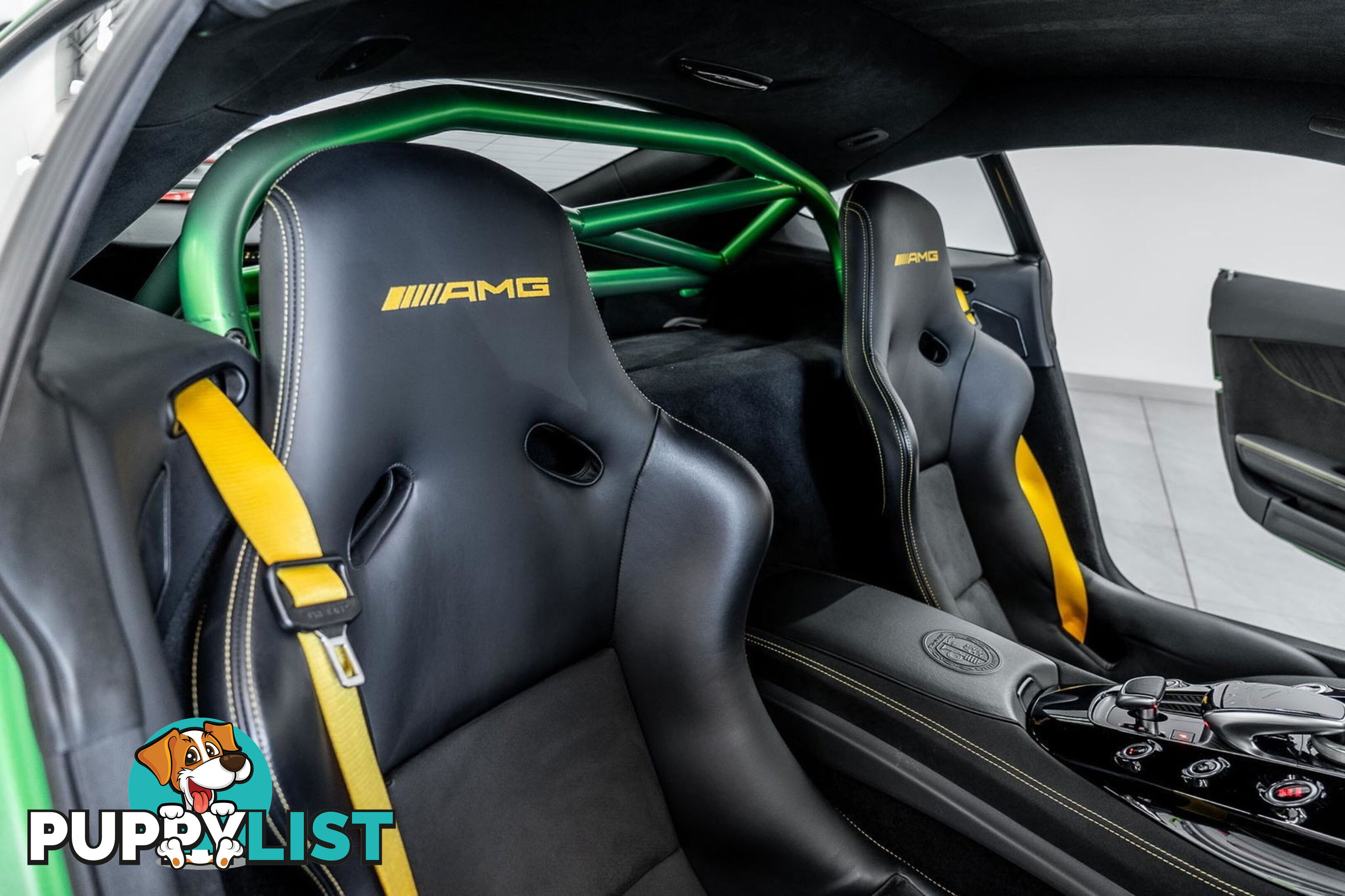 2018 Mercedes-AMG GT R 190 MY17.5