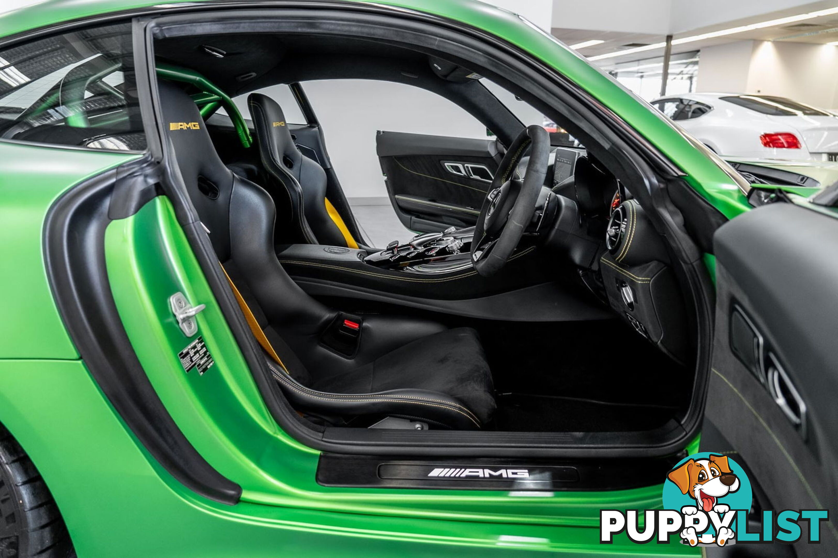 2018 Mercedes-AMG GT R 190 MY17.5