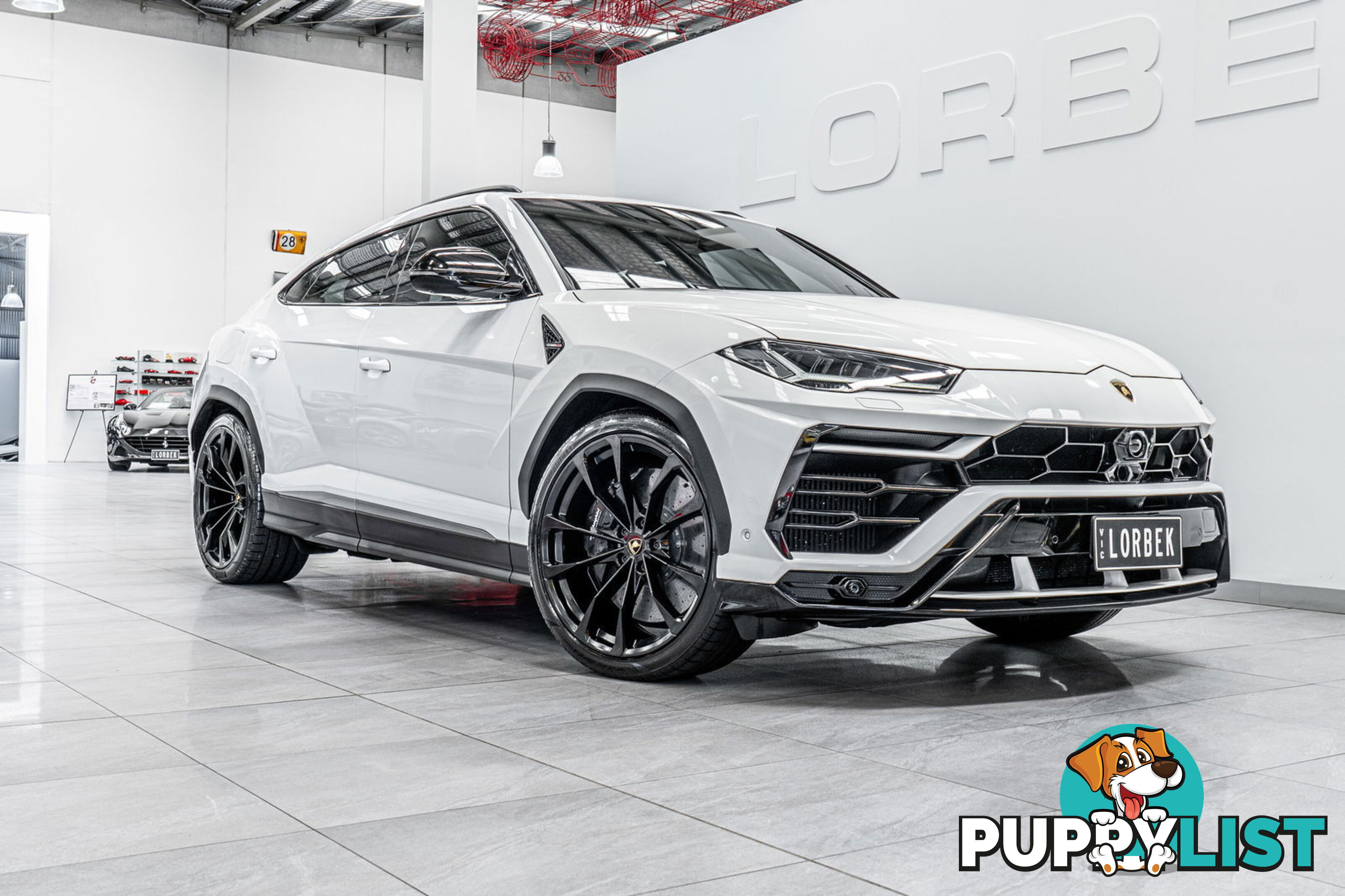 2019 Lamborghini Urus 5 Seat 636 MY19