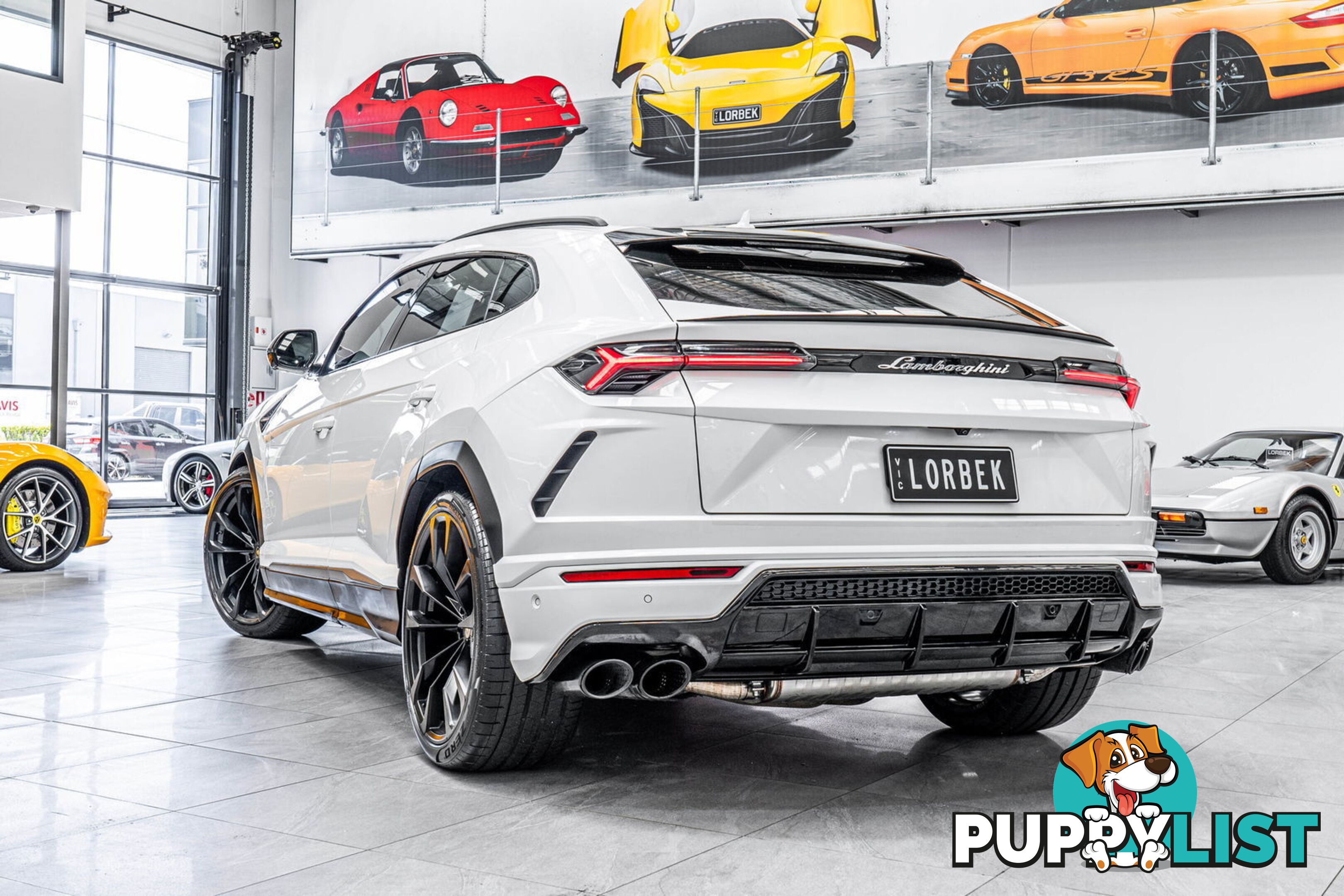 2019 Lamborghini Urus 5 Seat 636 MY19