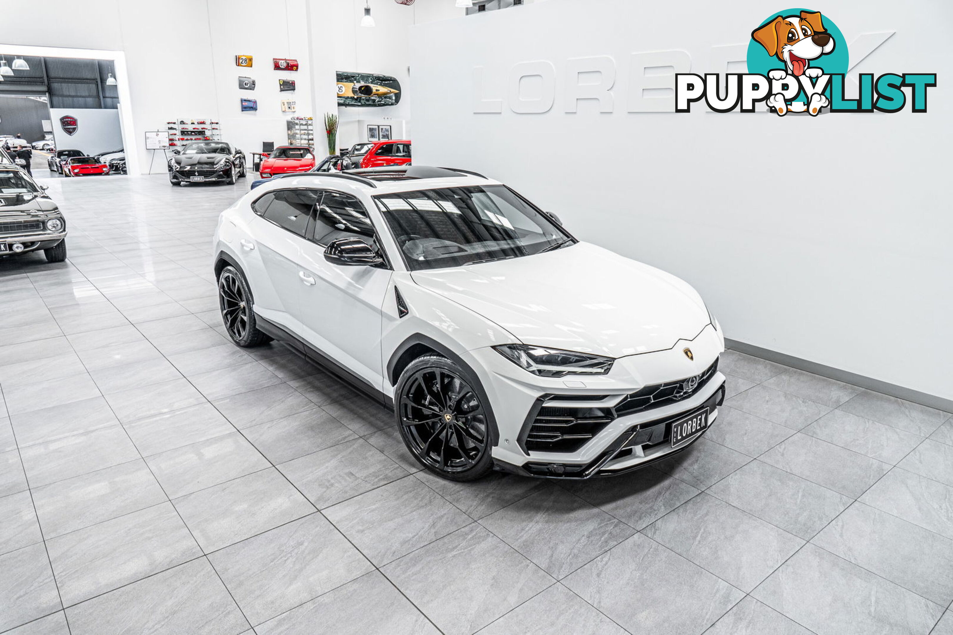 2019 Lamborghini Urus 5 Seat 636 MY19