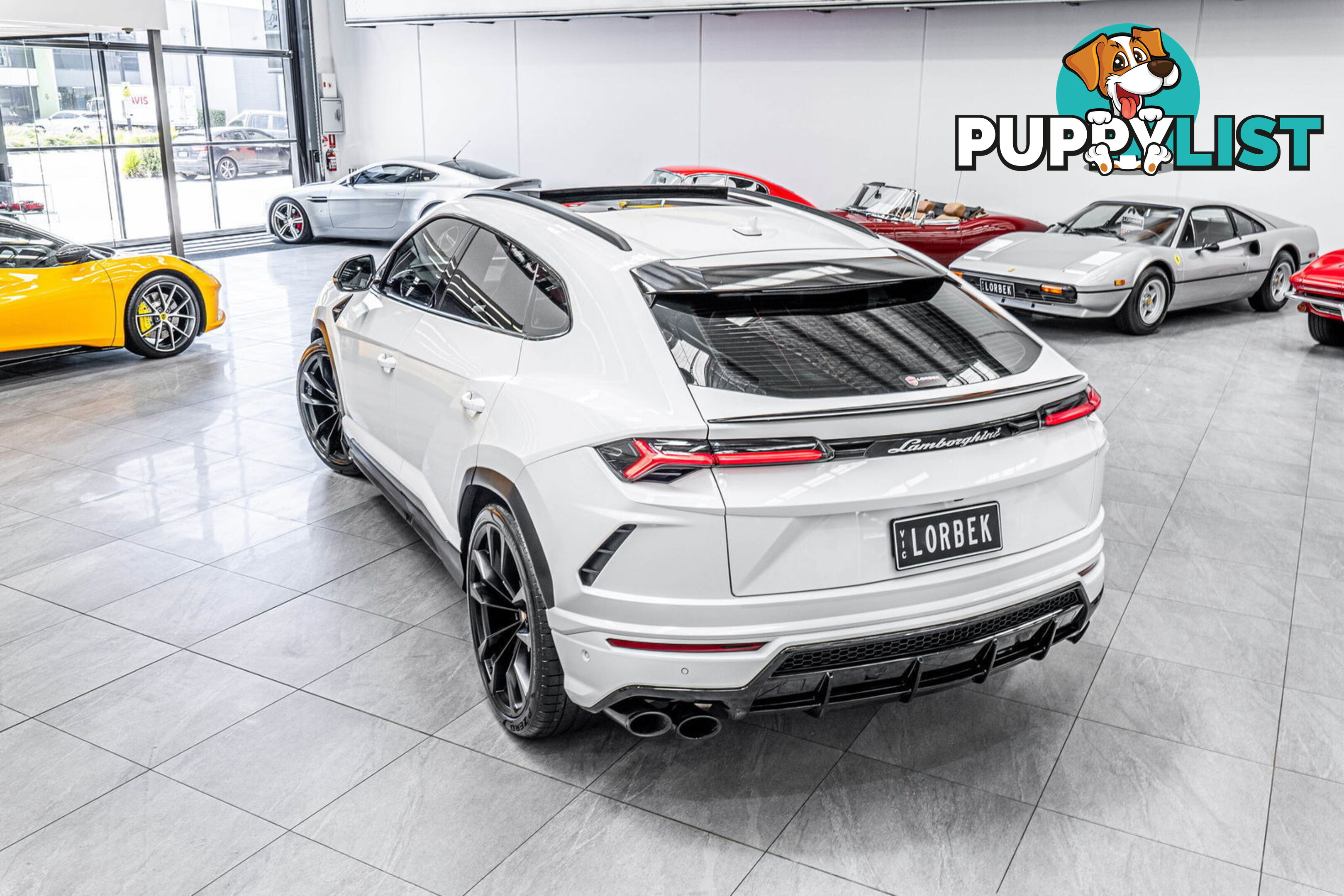 2019 Lamborghini Urus 5 Seat 636 MY19