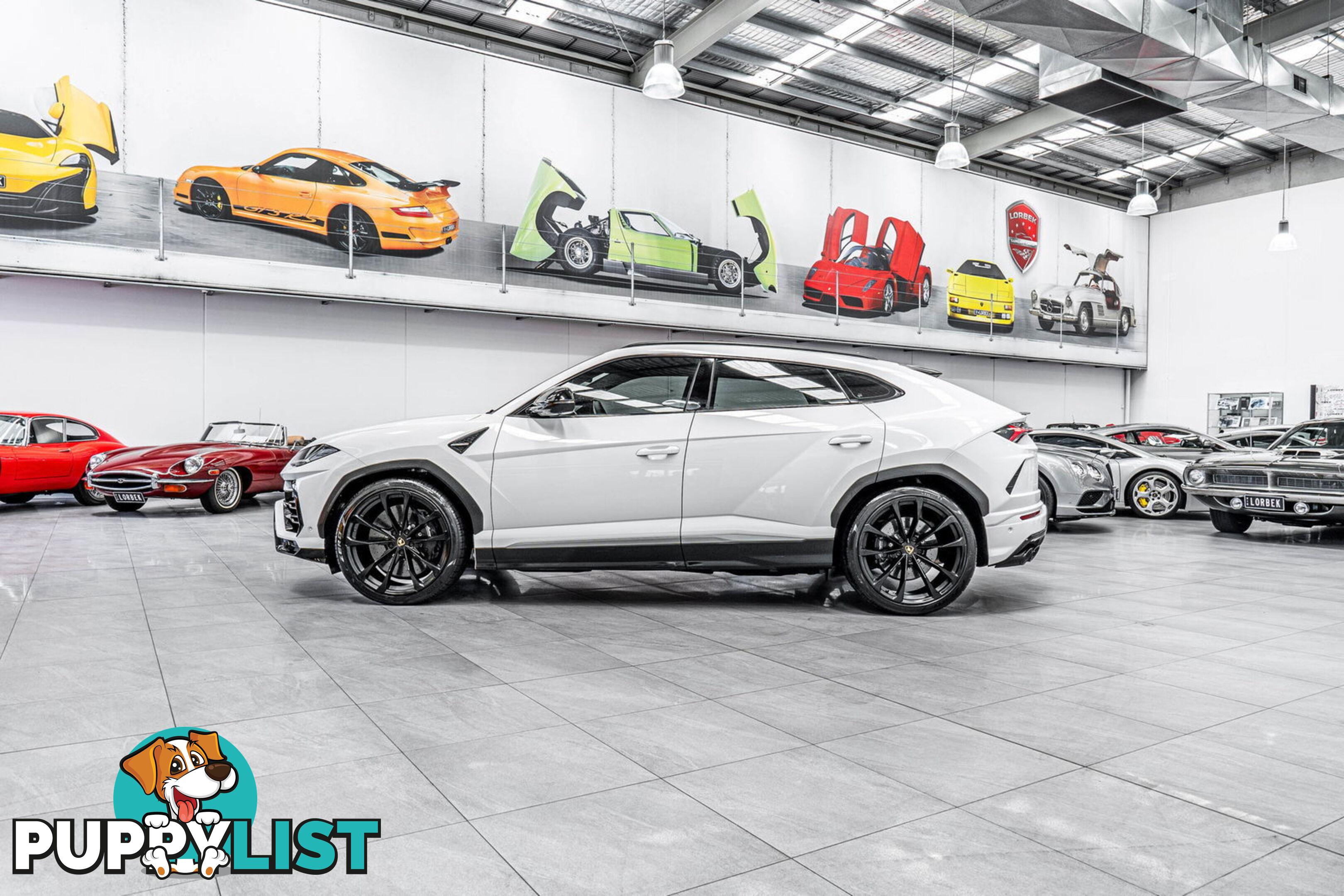 2019 Lamborghini Urus 5 Seat 636 MY19