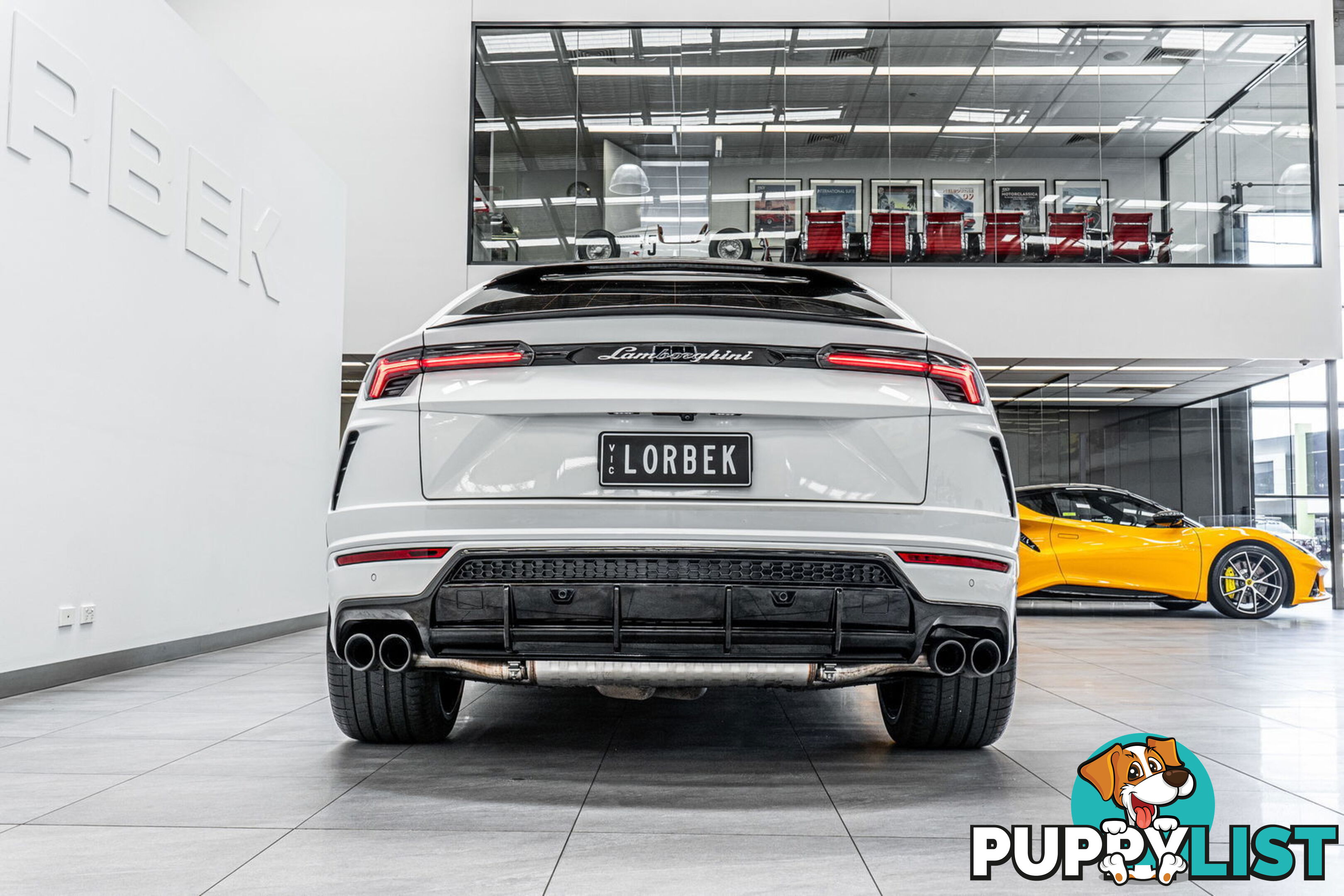 2019 Lamborghini Urus 5 Seat 636 MY19