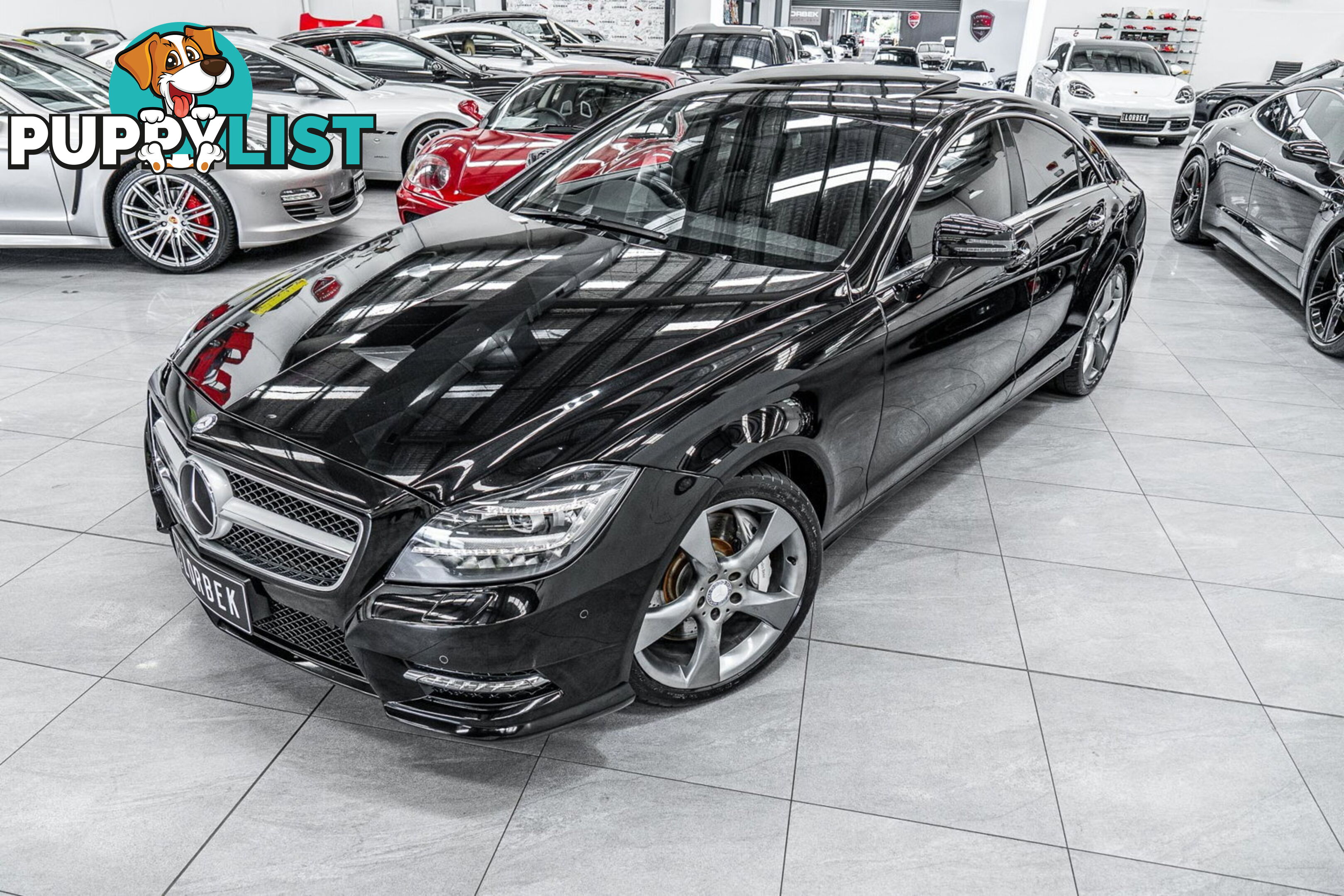 2014 Mercedes-Benz CLS500 Avantgarde 10th Ed 218 Update