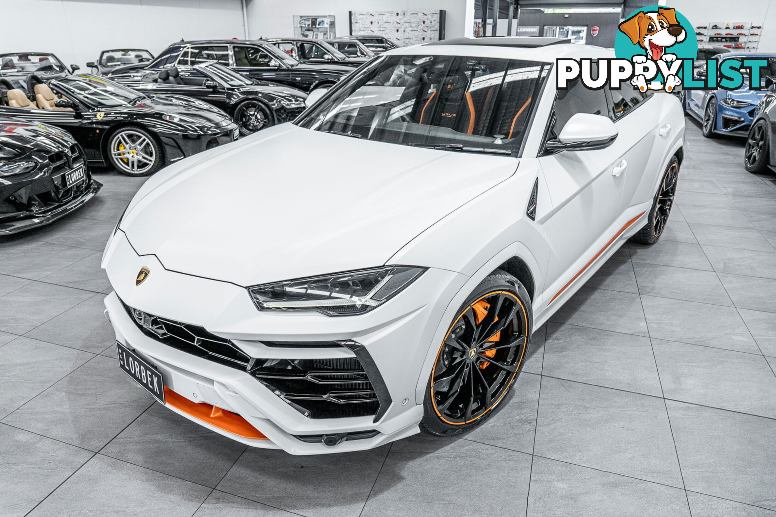 2022 Lamborghini Urus Graphite Capsule 636 MY22