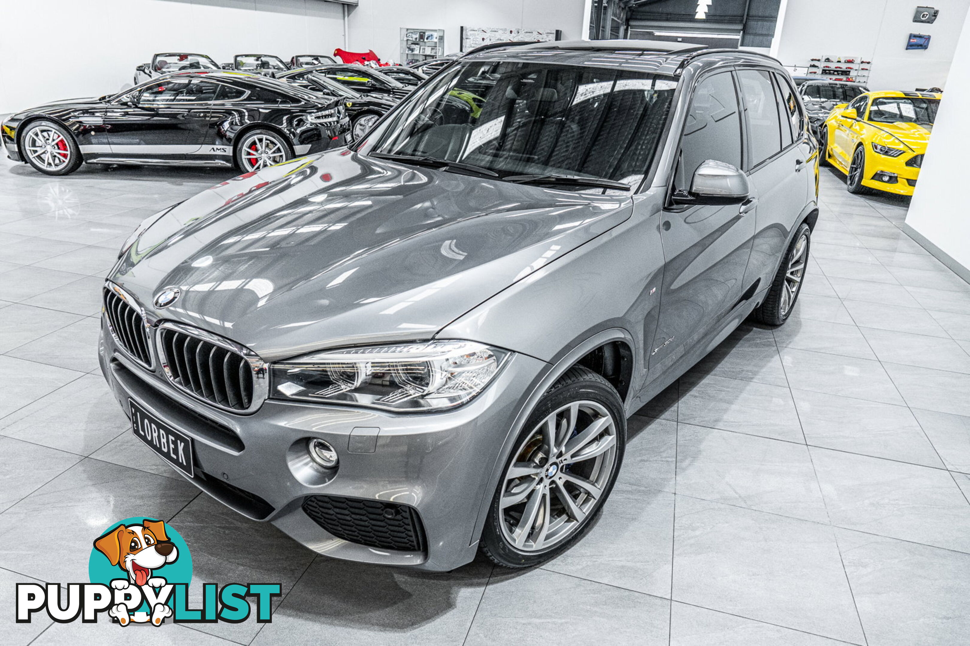 2018 BMW X5 xDrive30d M Sport F15 MY18