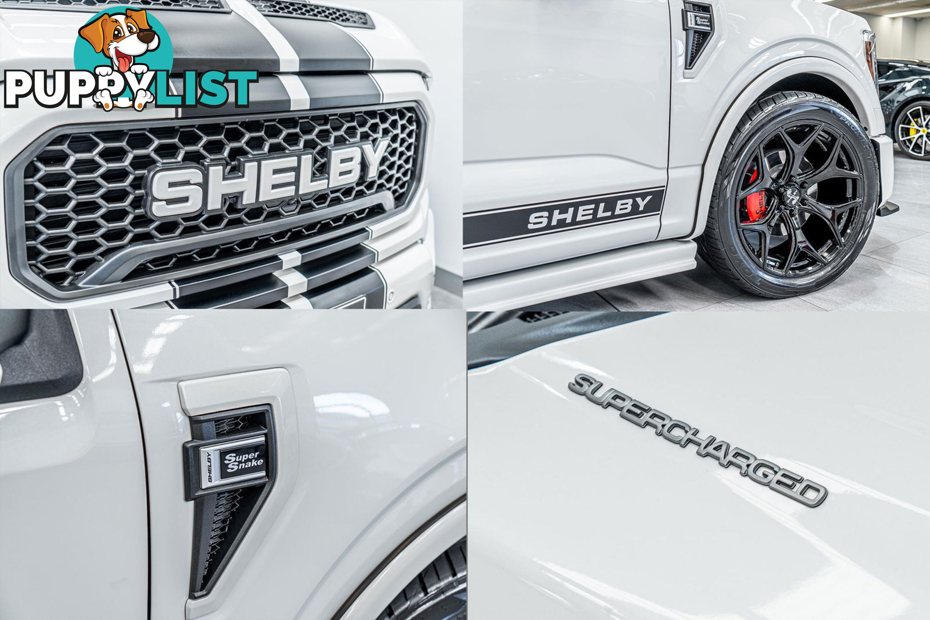 2023 Ford F150 Shelby Supersnake 