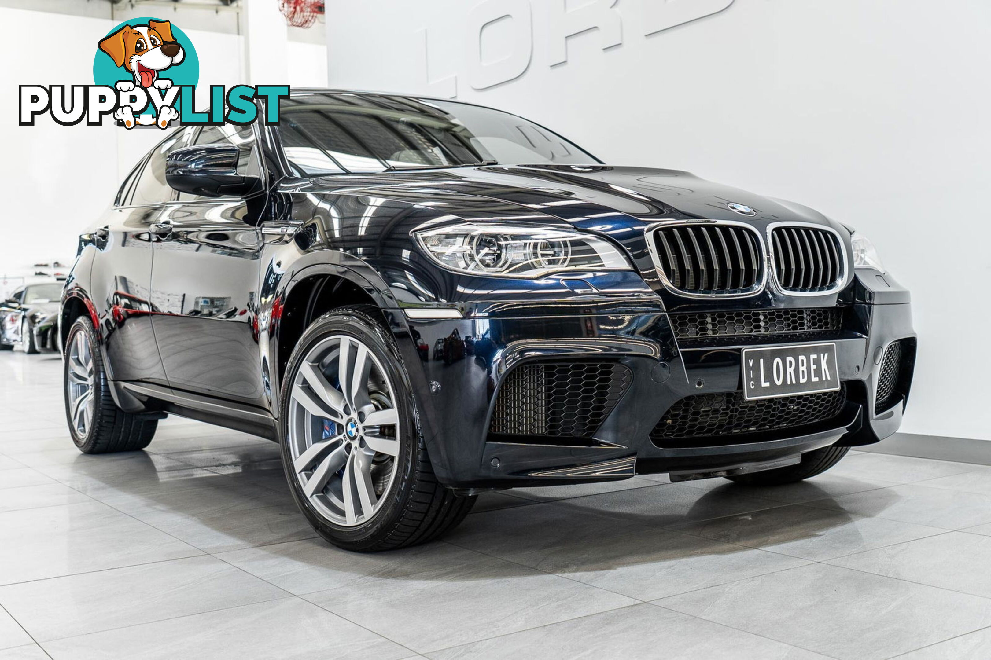 2012 BMW X6 M E71 MY12