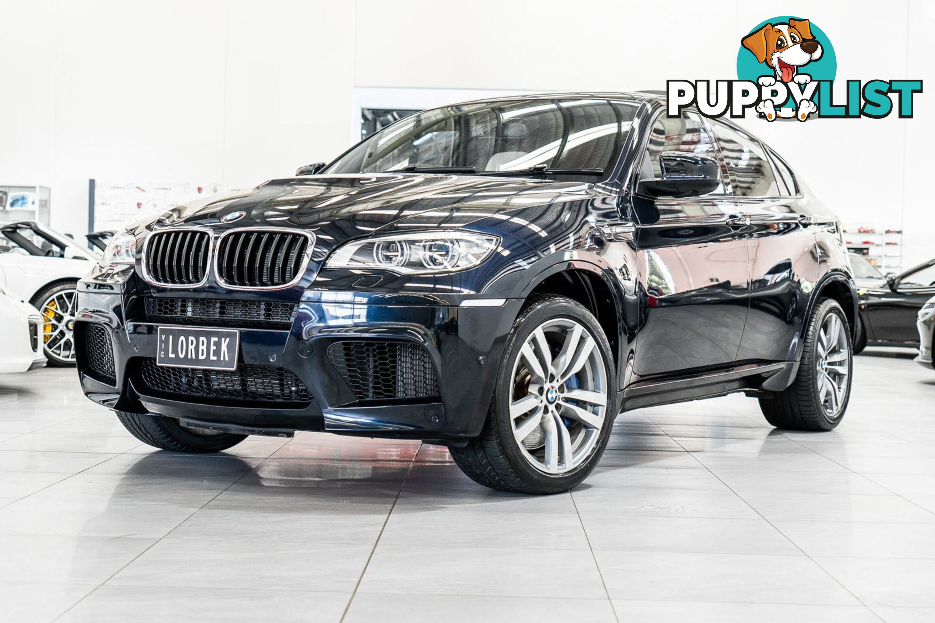 2012 BMW X6 M E71 MY12