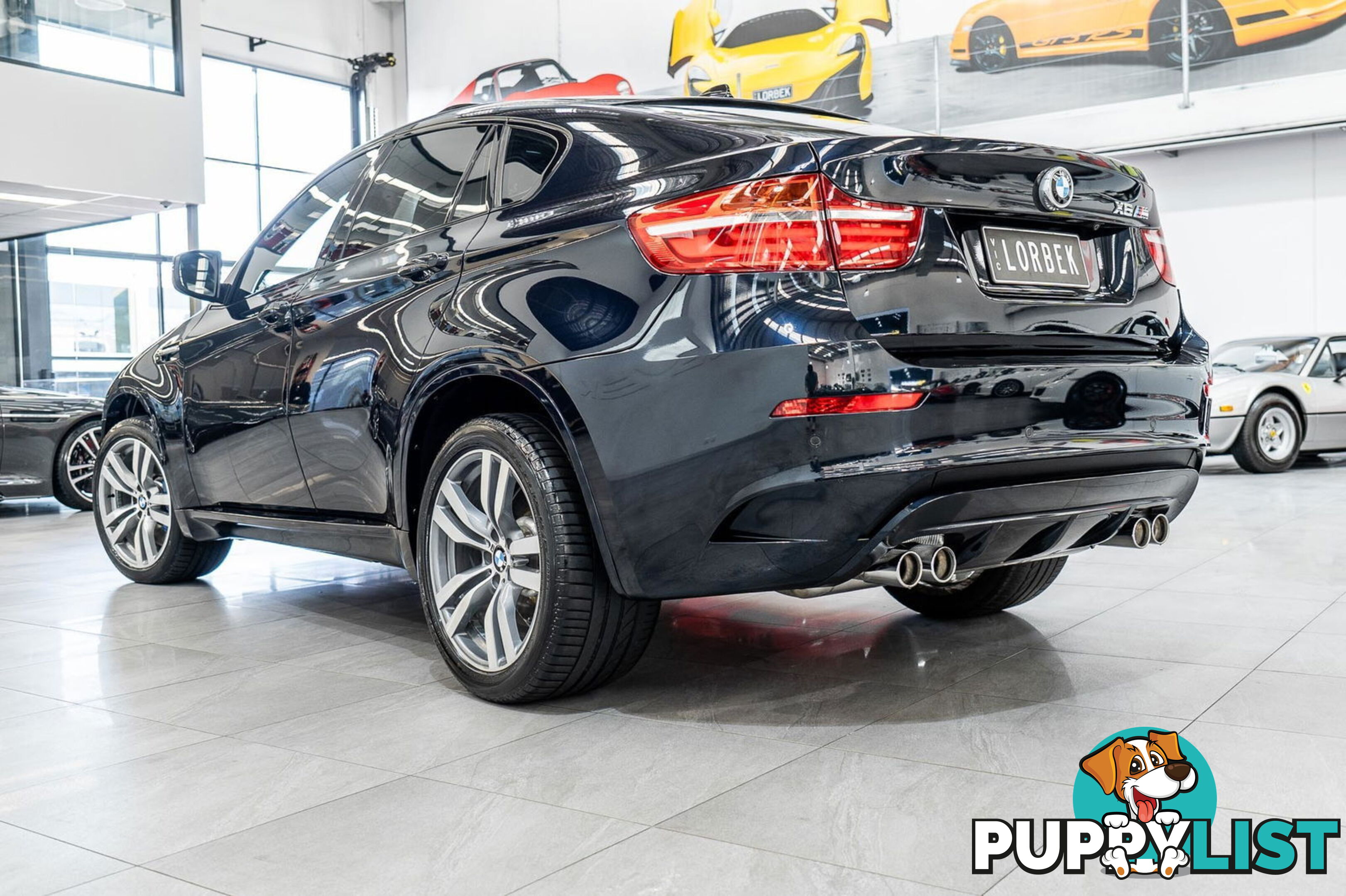 2012 BMW X6 M E71 MY12