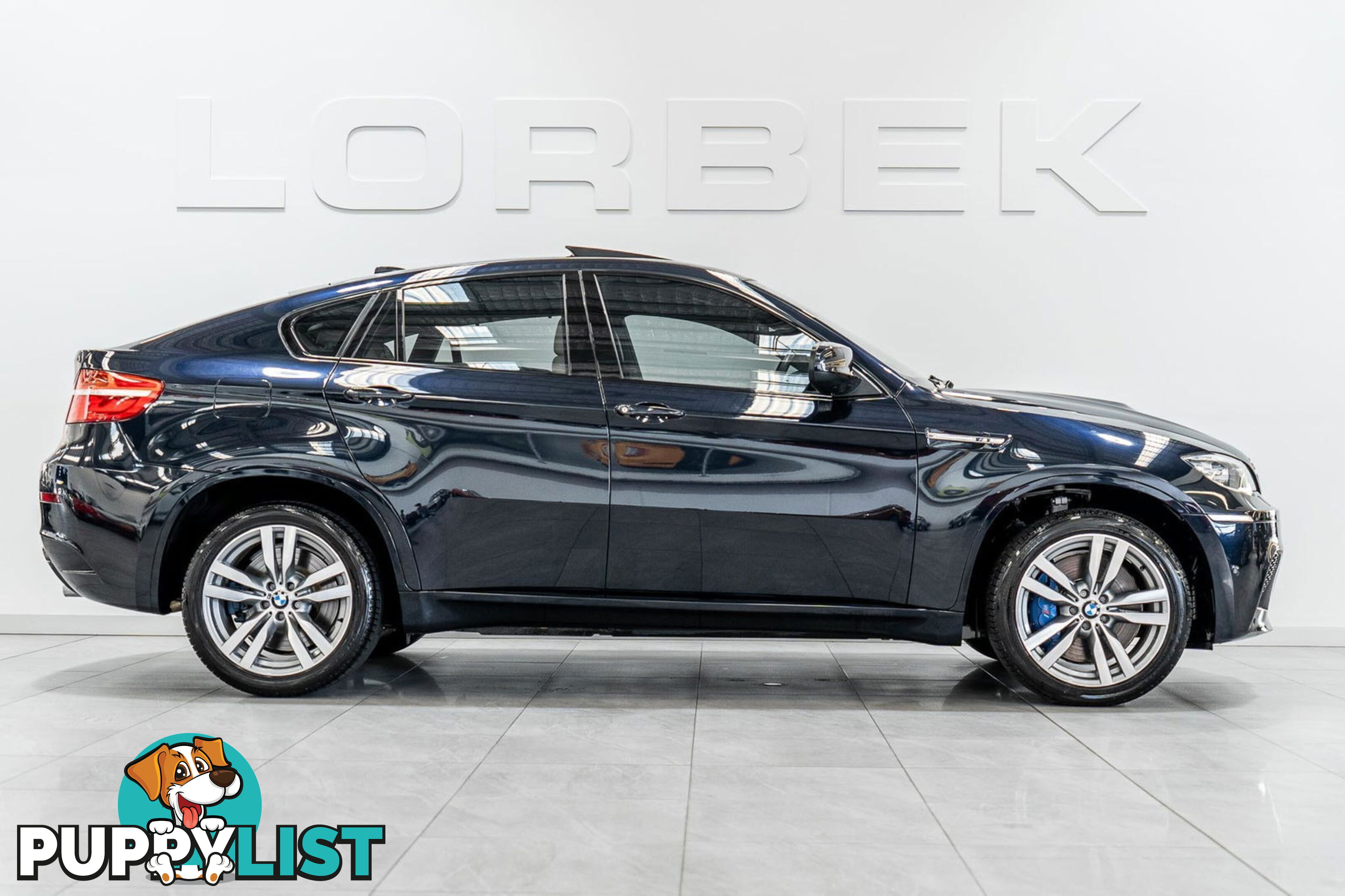2012 BMW X6 M E71 MY12