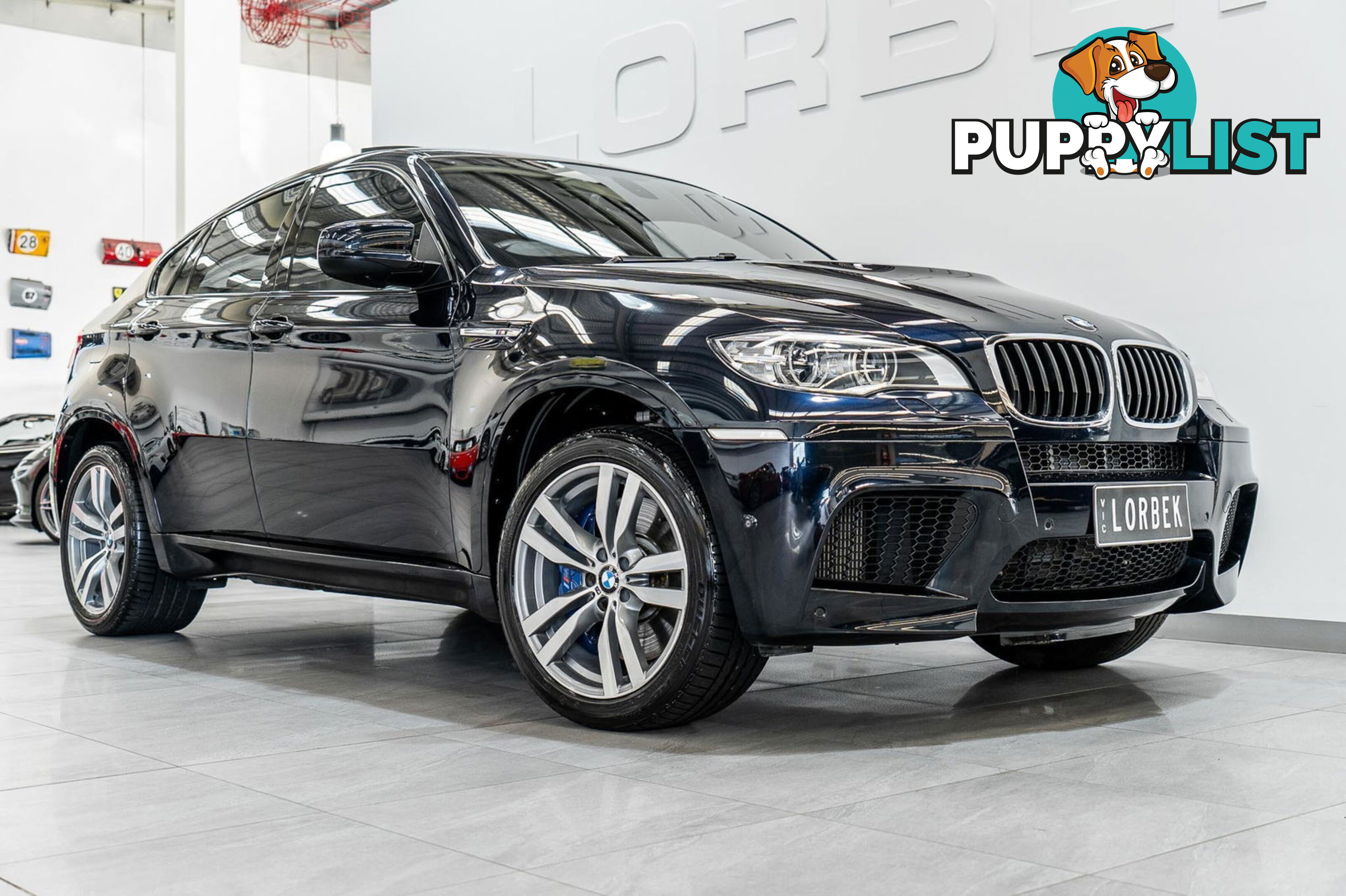 2012 BMW X6 M E71 MY12