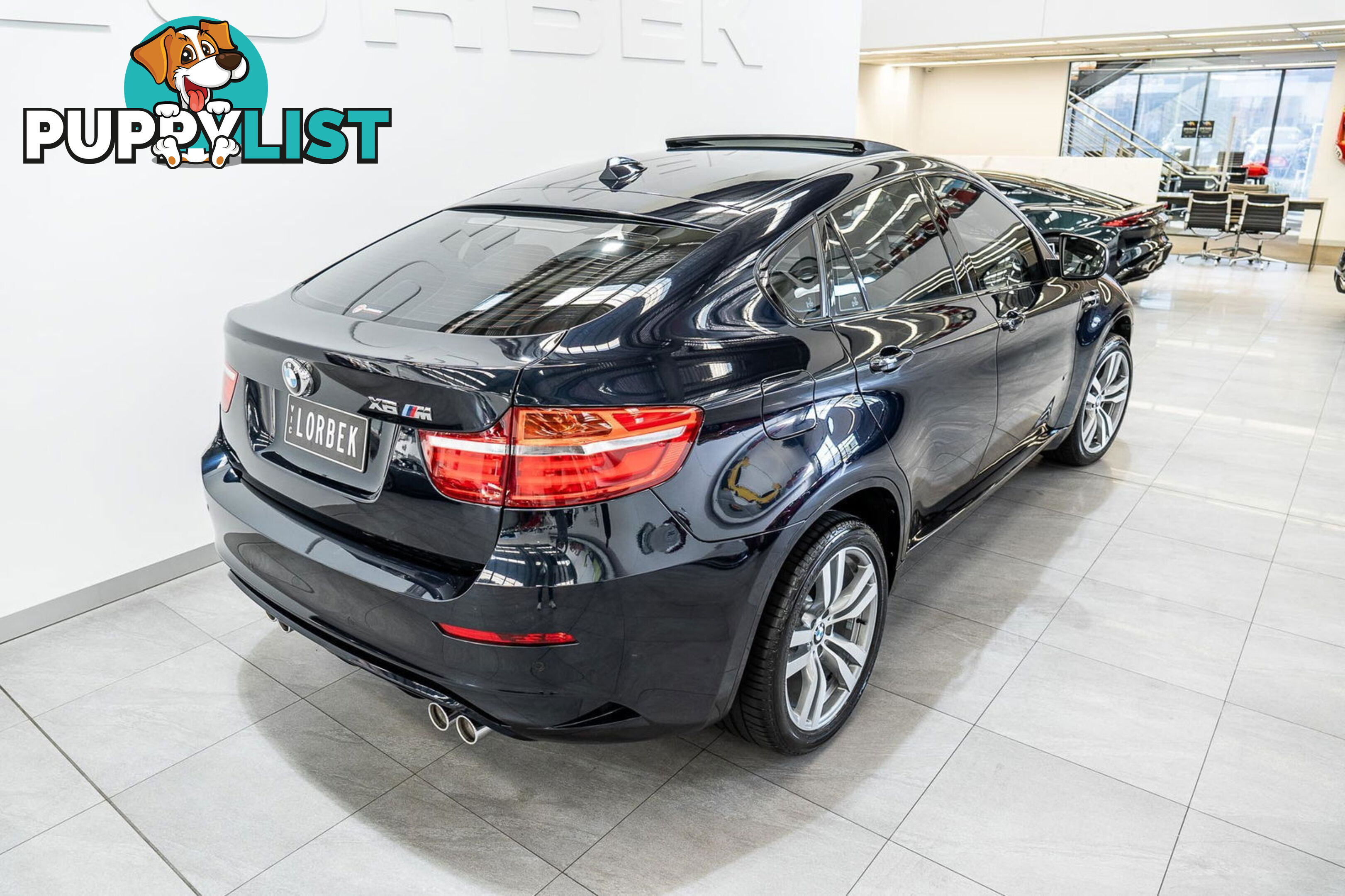 2012 BMW X6 M E71 MY12