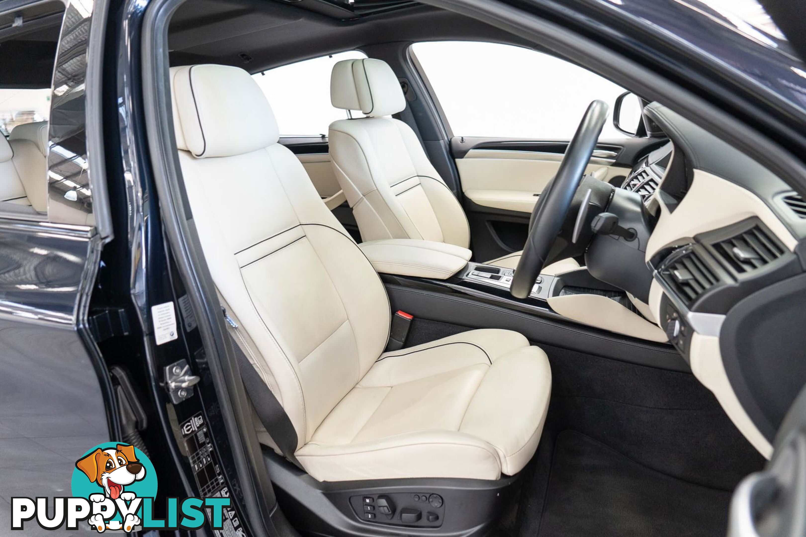 2012 BMW X6 M E71 MY12